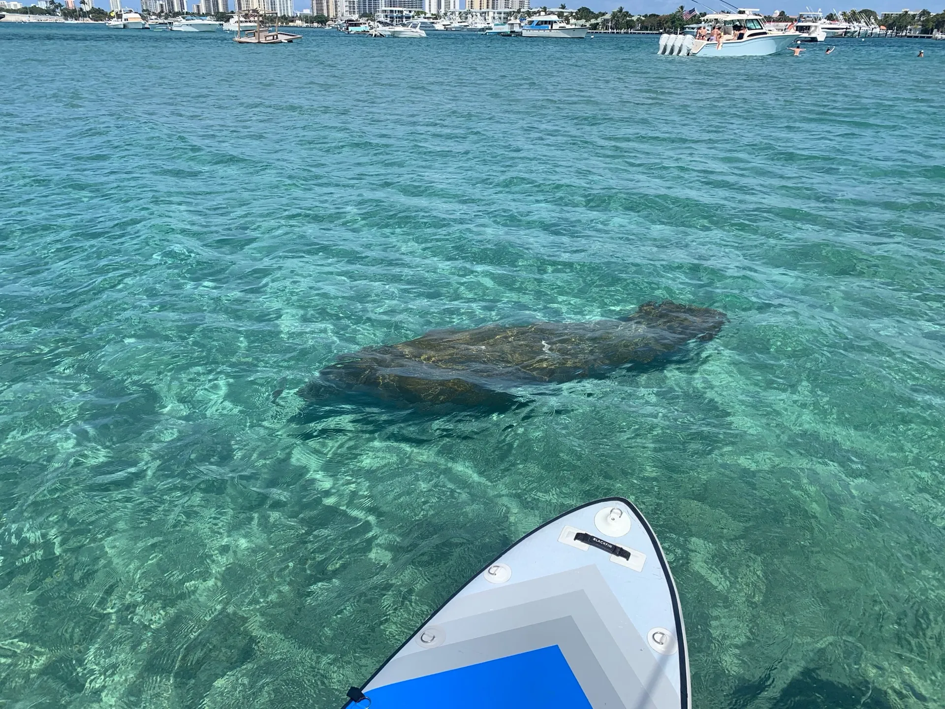 27 Blackfin for Charter/ Sandbar Excursion/sightseeing/snorkeling 