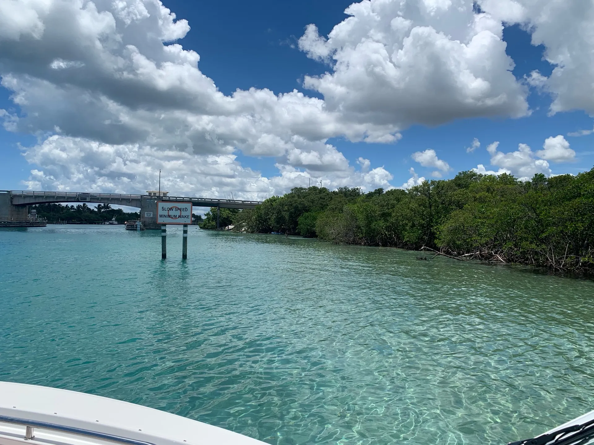 27 Blackfin for Charter/ Sandbar Excursion/sightseeing/snorkeling 