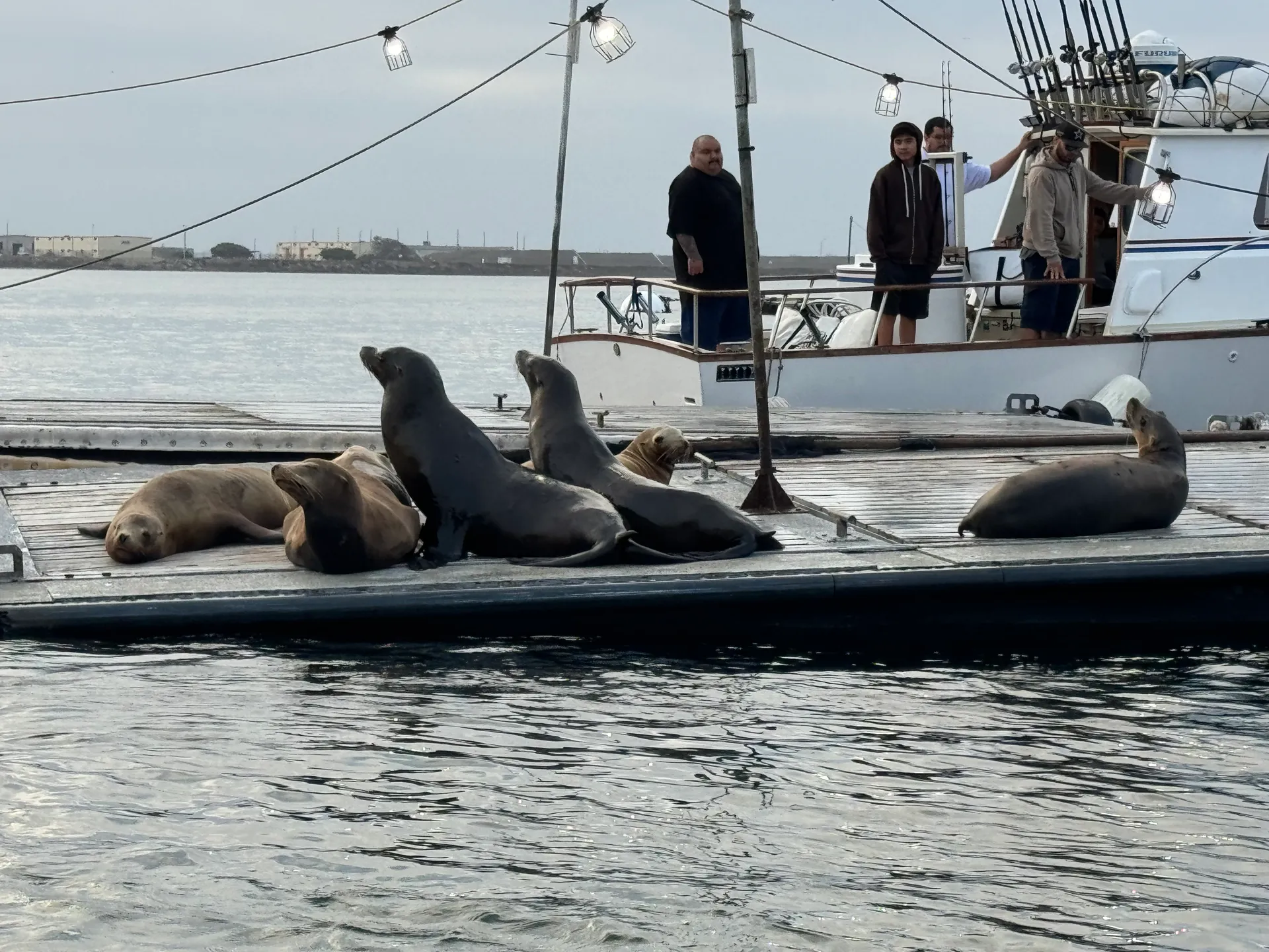 Best Ride in town. Bay Tour, Sunset/Dolphin Cruise, Fishing Charter.. 