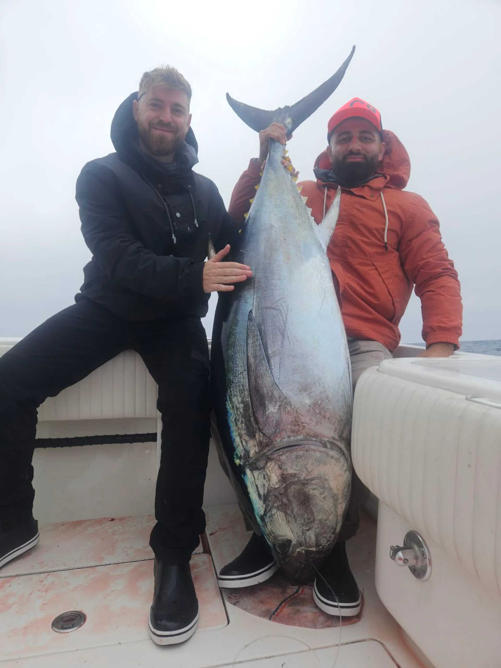 Best Ride in town. Bay Tour, Sunset/Dolphin Cruise, Fishing Charter.. 