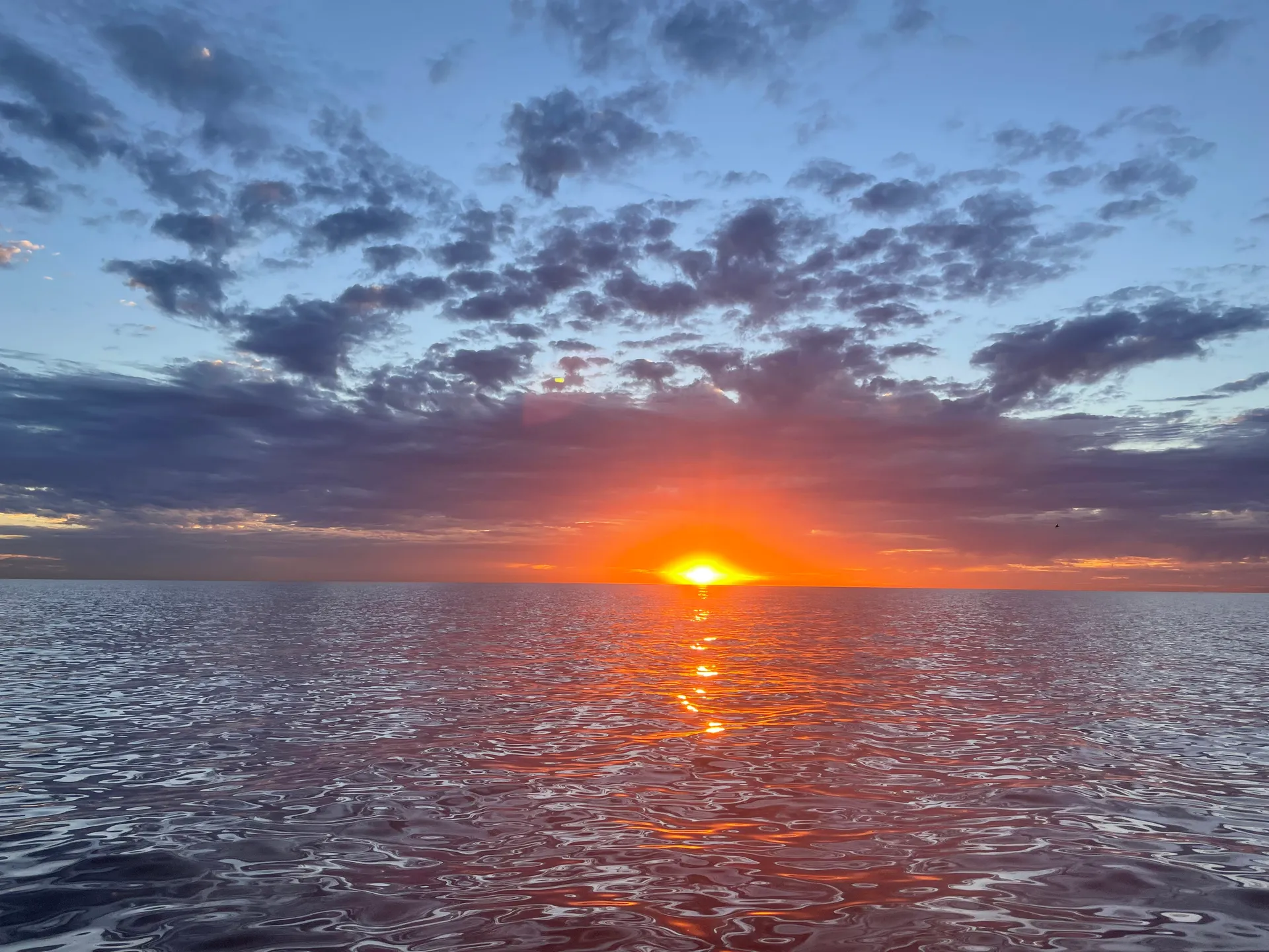 Best Ride in town. Bay Tour, Sunset/Dolphin Cruise, Fishing Charter.. 