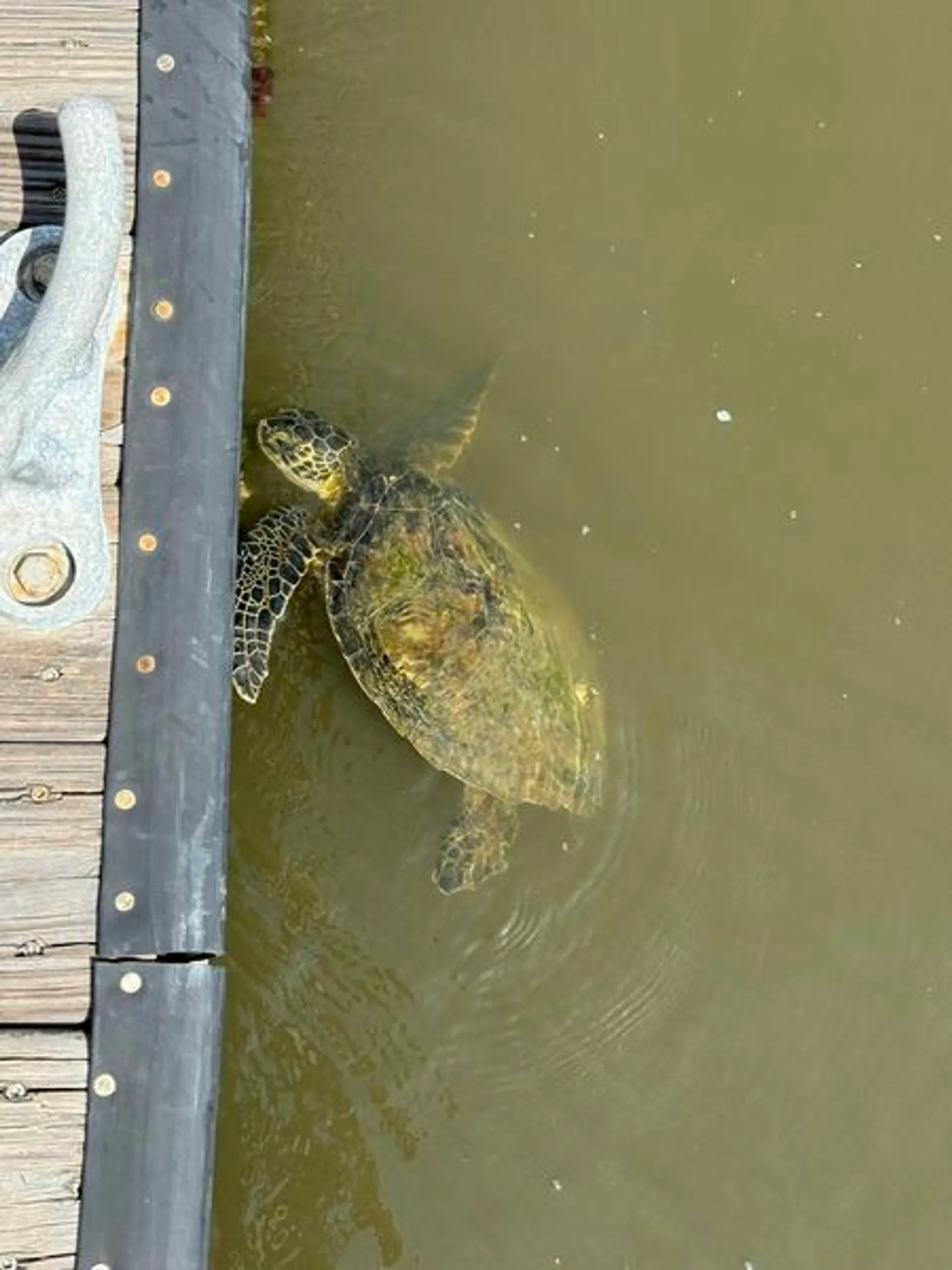 Looking for a safe and memorable boat experience! Ride Waves in Style!