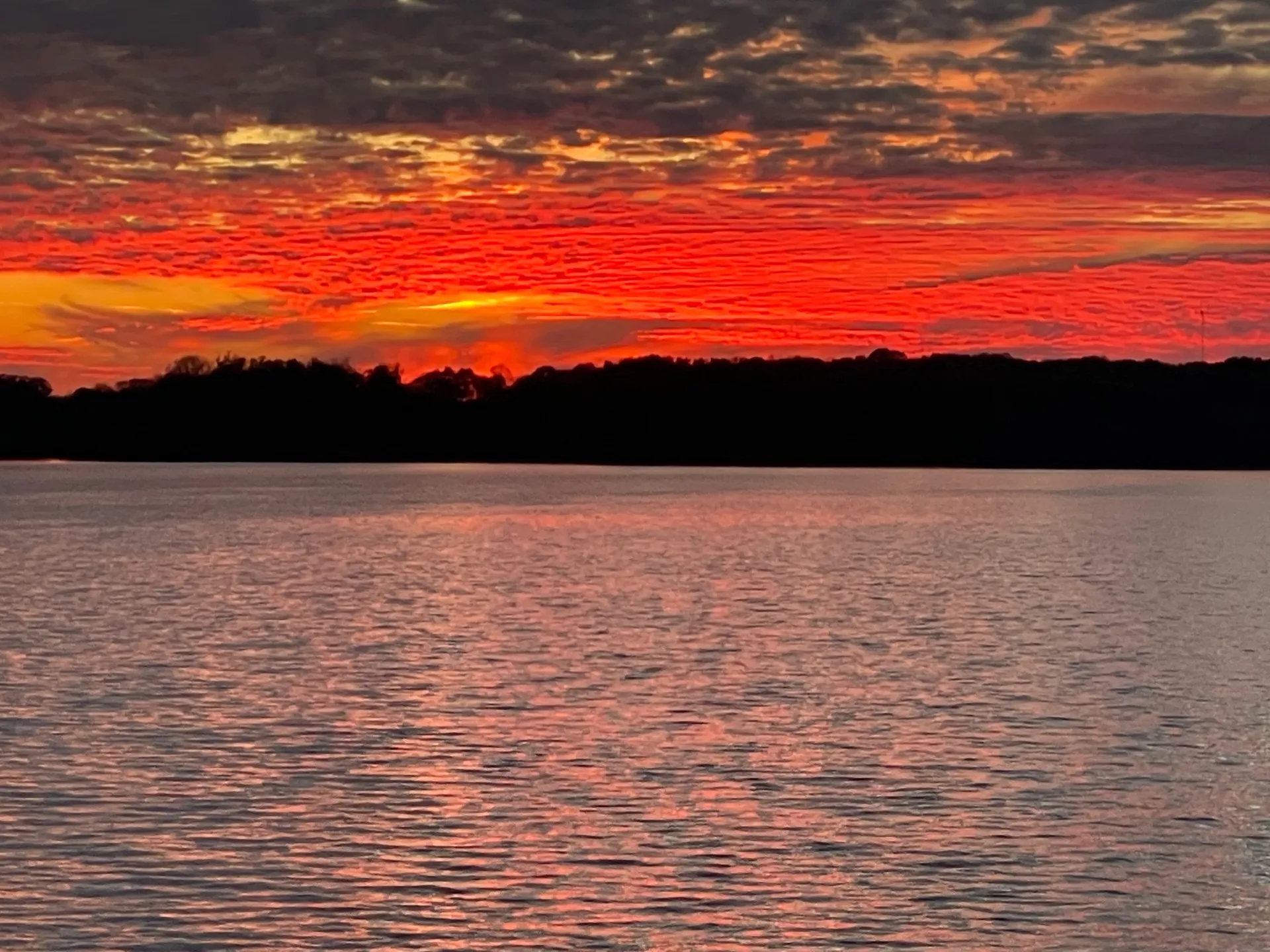 Sea Ray Boats 305 Sedan Bridge in Hardin, KY — photo 10
