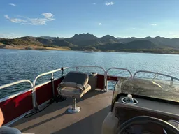 Remy the Pontoon - 2024 Bass Buggy, delivery available, Fuel Included. boat photo