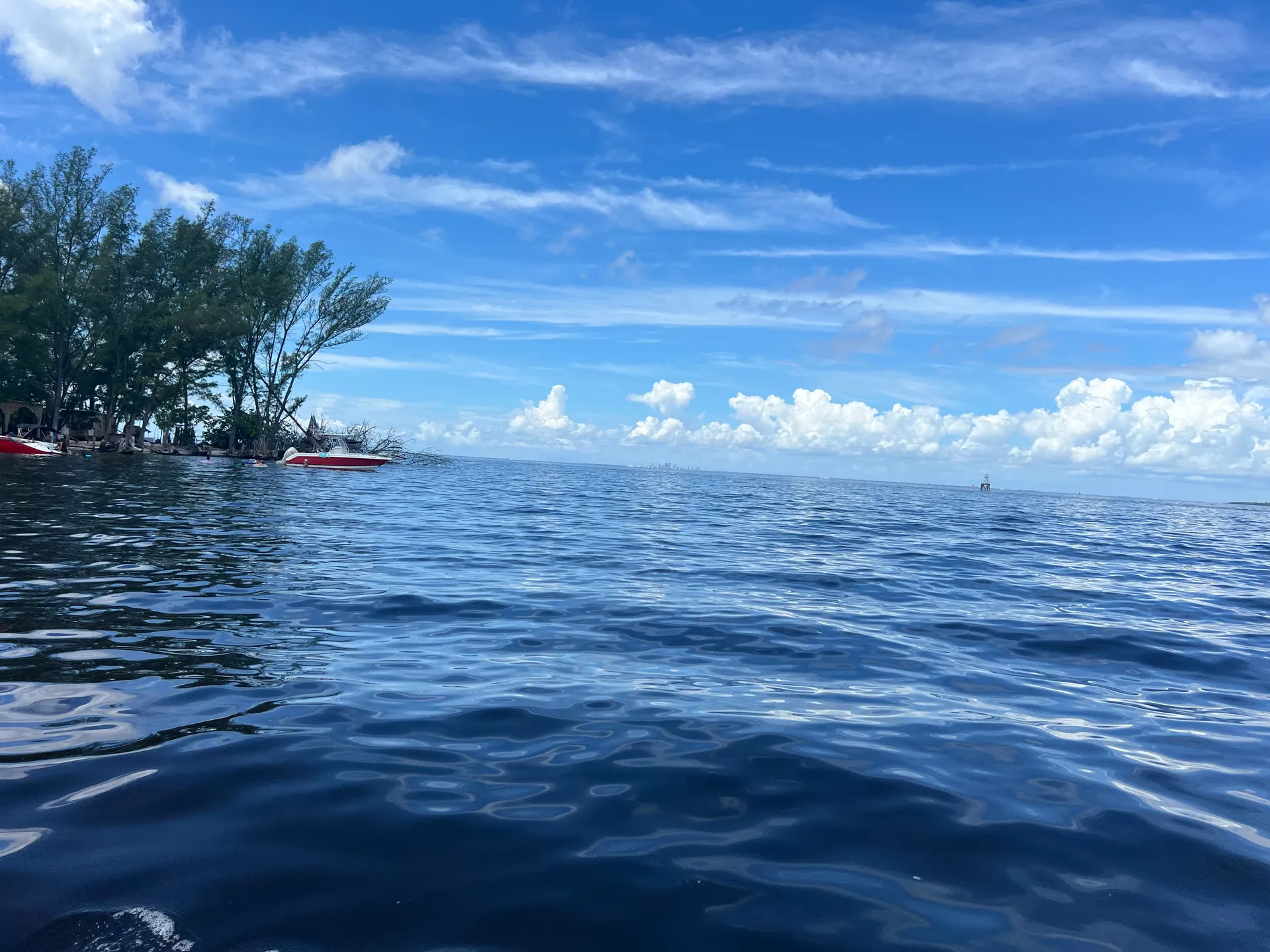 28 foot Nauticstar with licensed Captain 