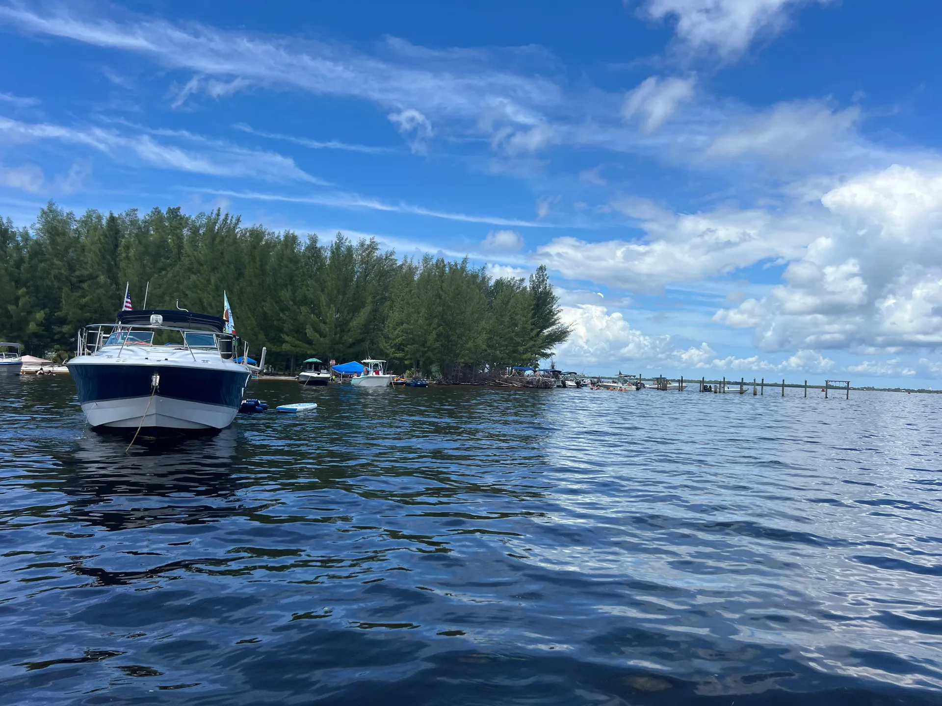 28 foot Nauticstar with licensed Captain 