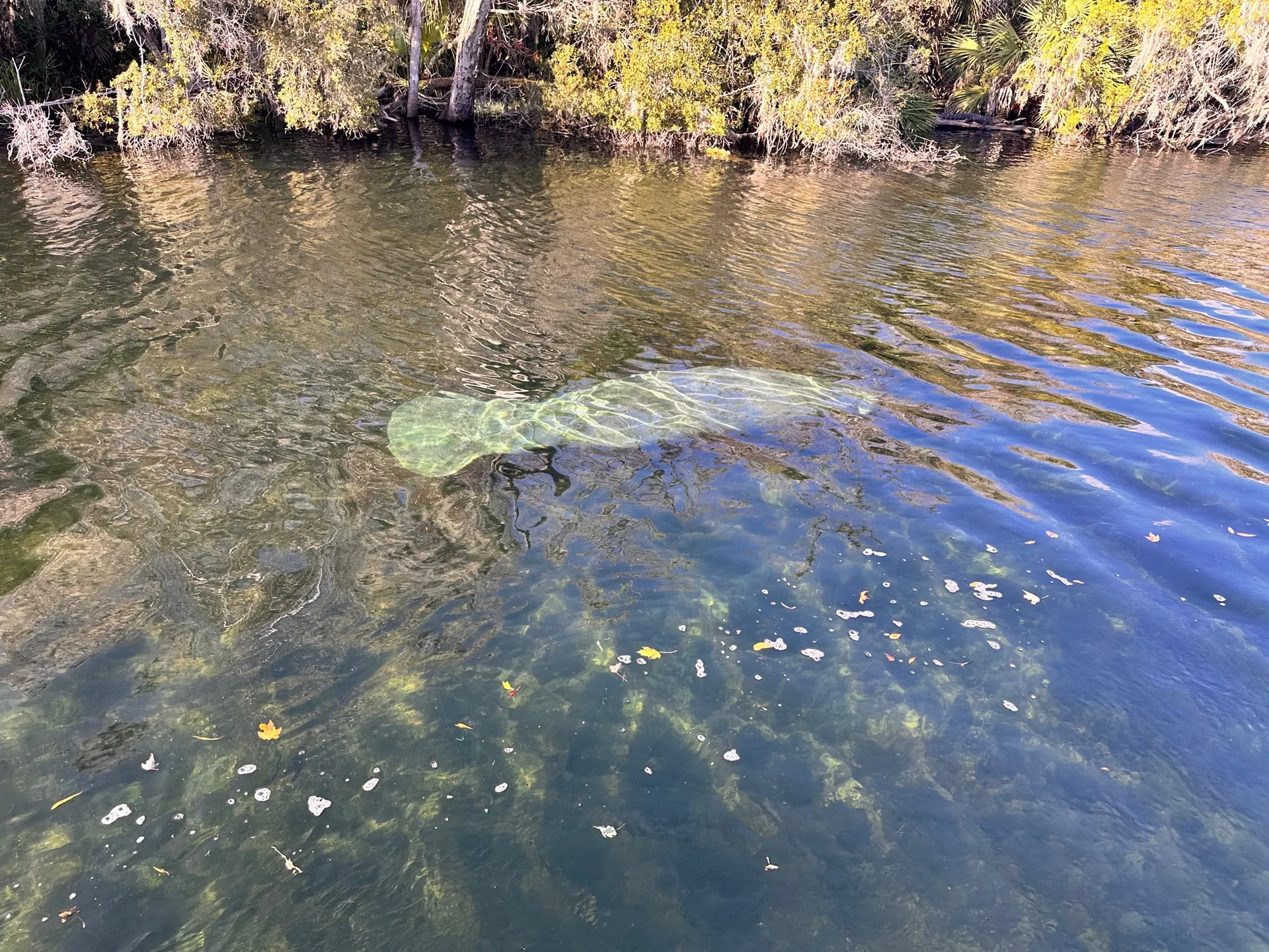 Delivery Available-2021 SEA HUNT ULTRA 234  Amazing Boat & Family Fun!