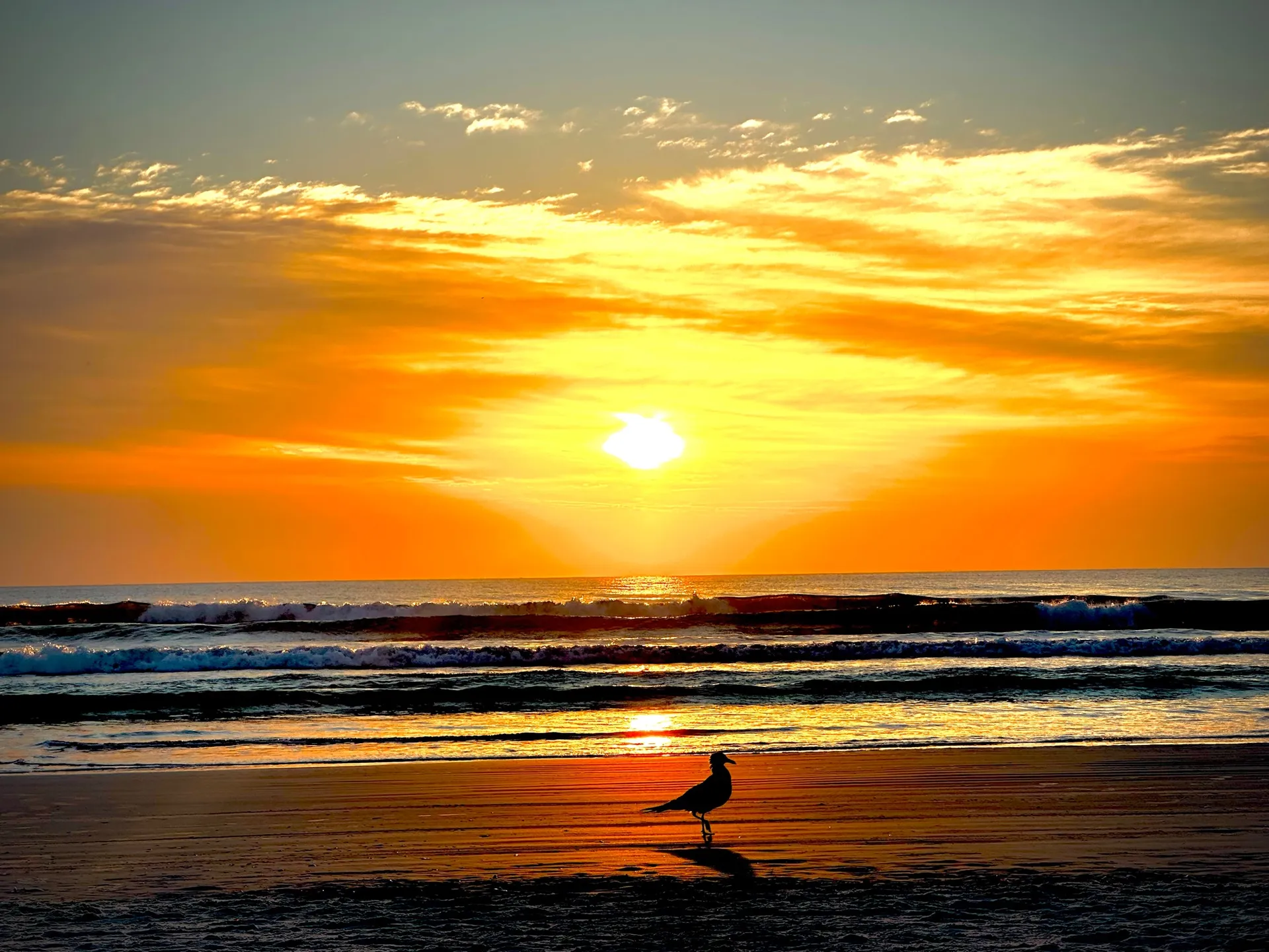 Delivery Available-2021 SEA HUNT ULTRA 234  Amazing Boat & Family Fun!