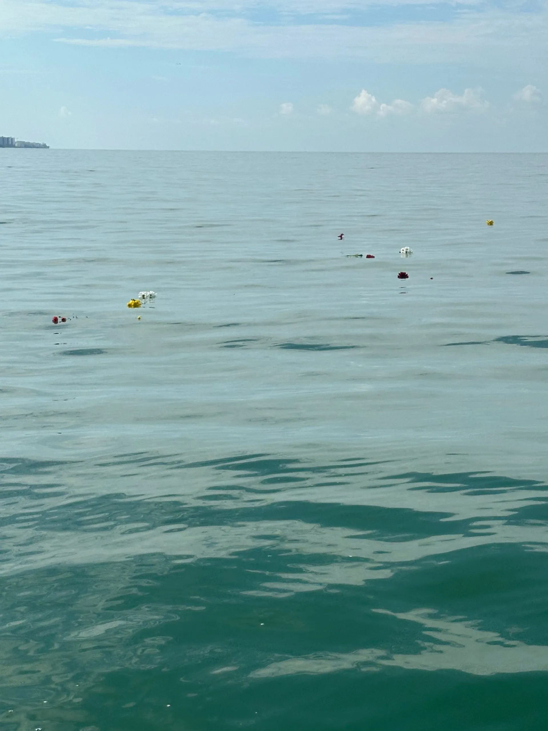 “Sand Happens” in SWFL