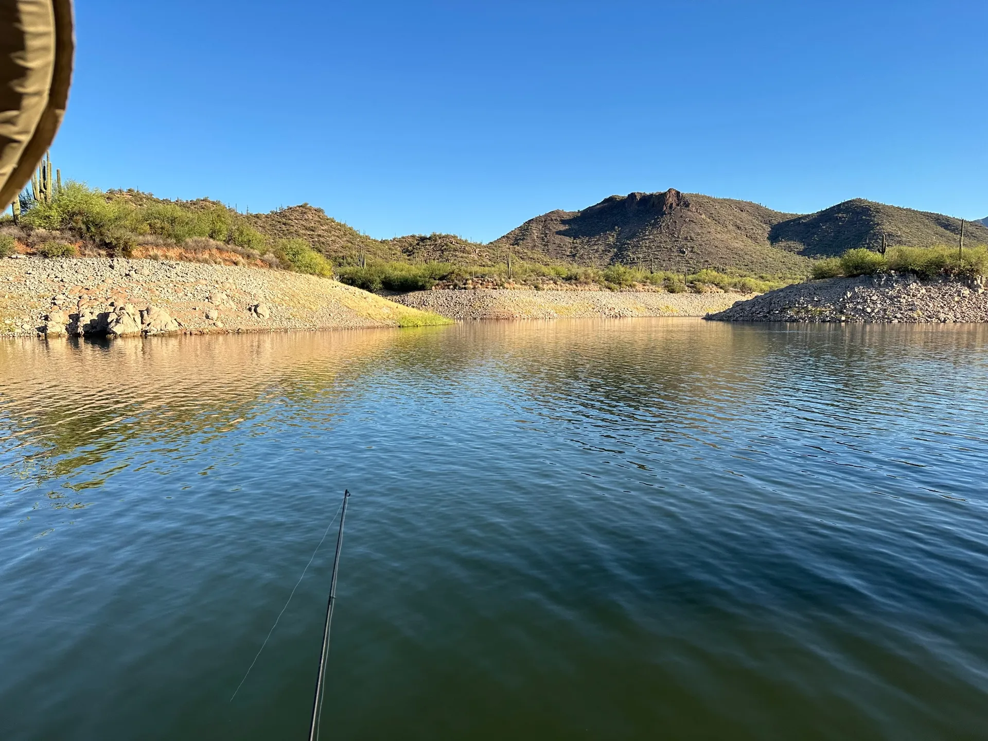 Remy the Pontoon - 2024 Bass Buggy, delivery available, Fuel Included.