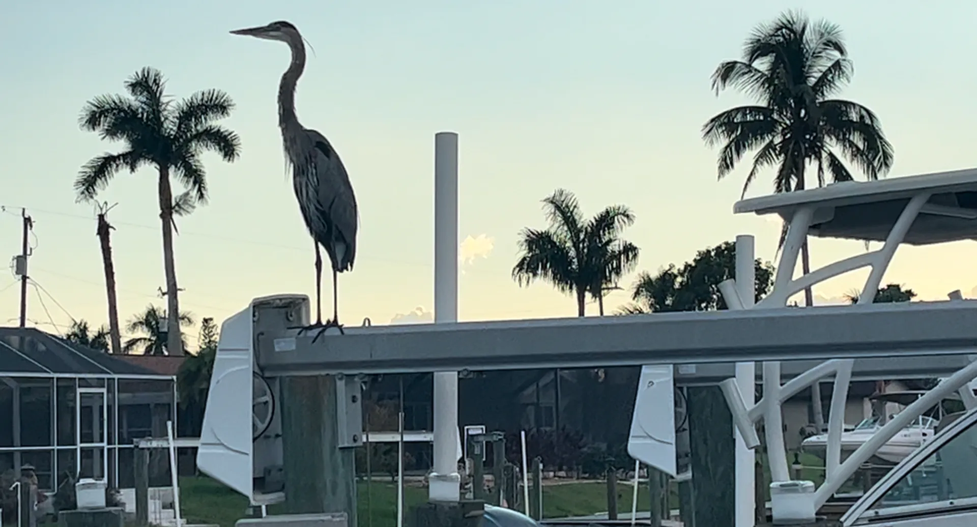 Luxury 26' Sailfish – Fishing, Island Hopping & Dolphin Tours in SW Fl