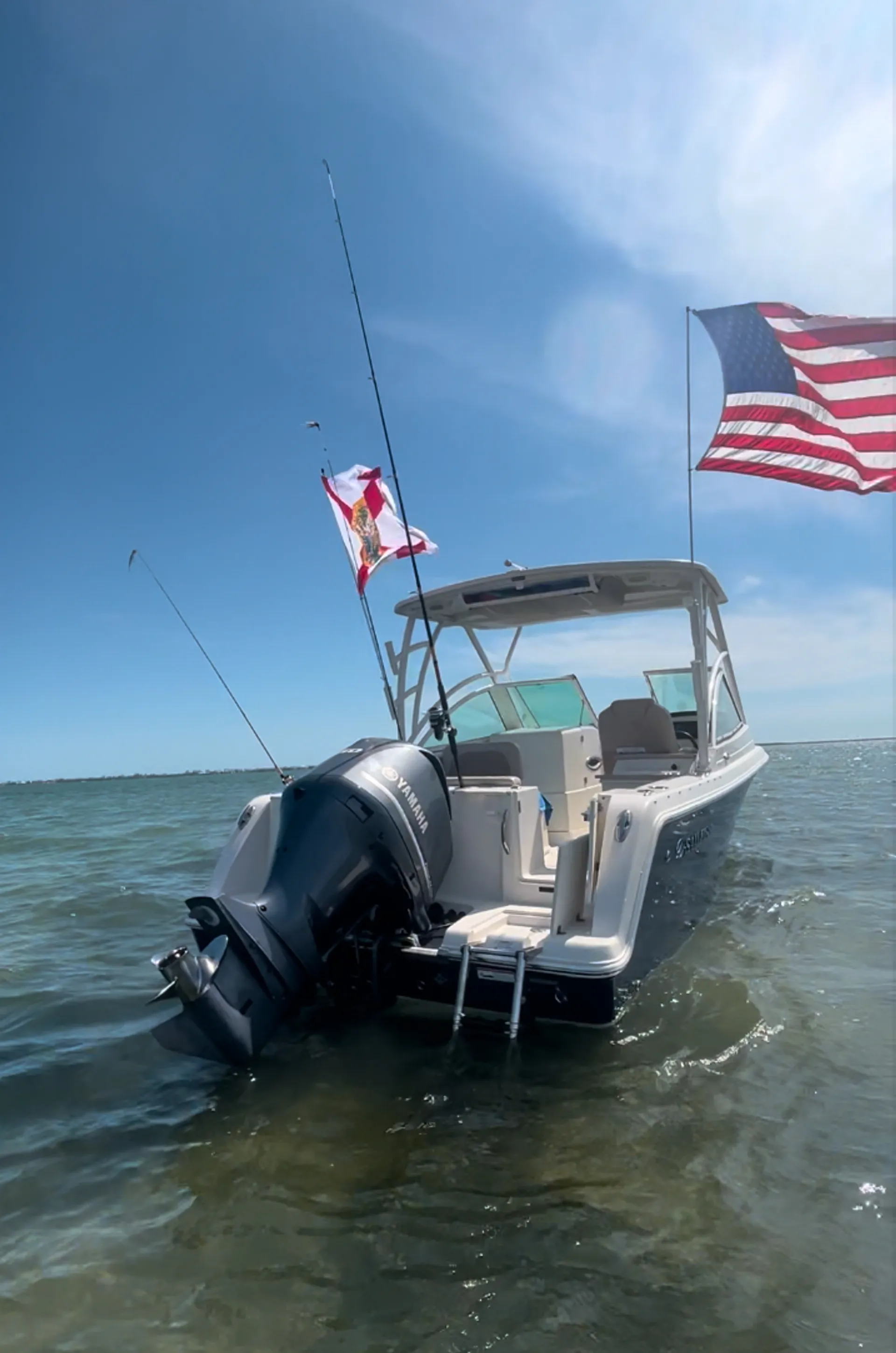 Luxury 26' Sailfish – Fishing, Island Hopping & Dolphin Tours in SW Fl