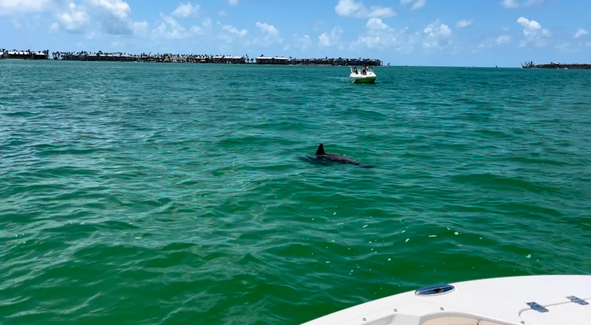 Luxury 26' Sailfish – Fishing, Island Hopping & Dolphin Tours in SW Fl