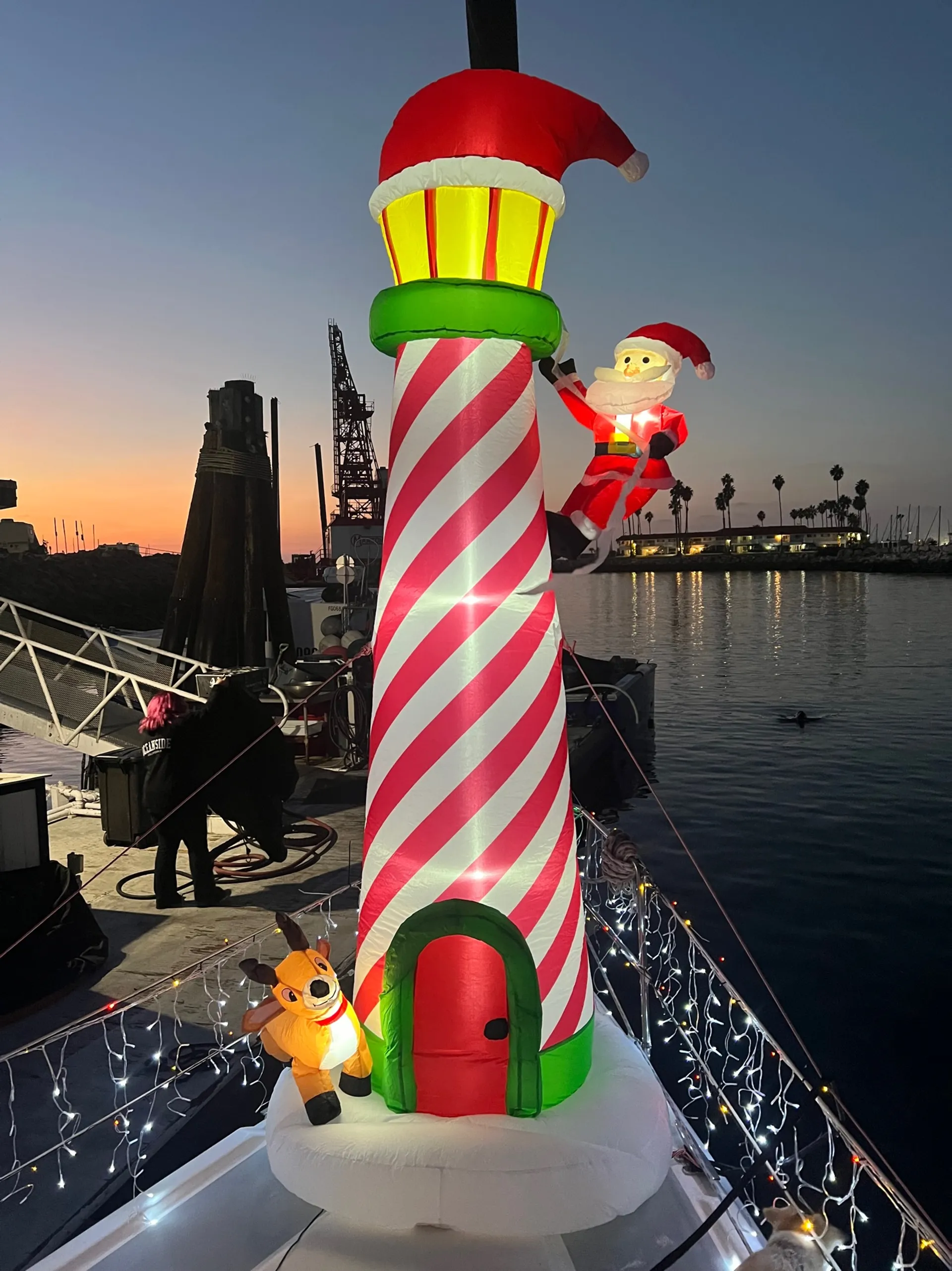 Sail in style on Deja Blue our 36 foot Hunter Yatch 🐬⛵️