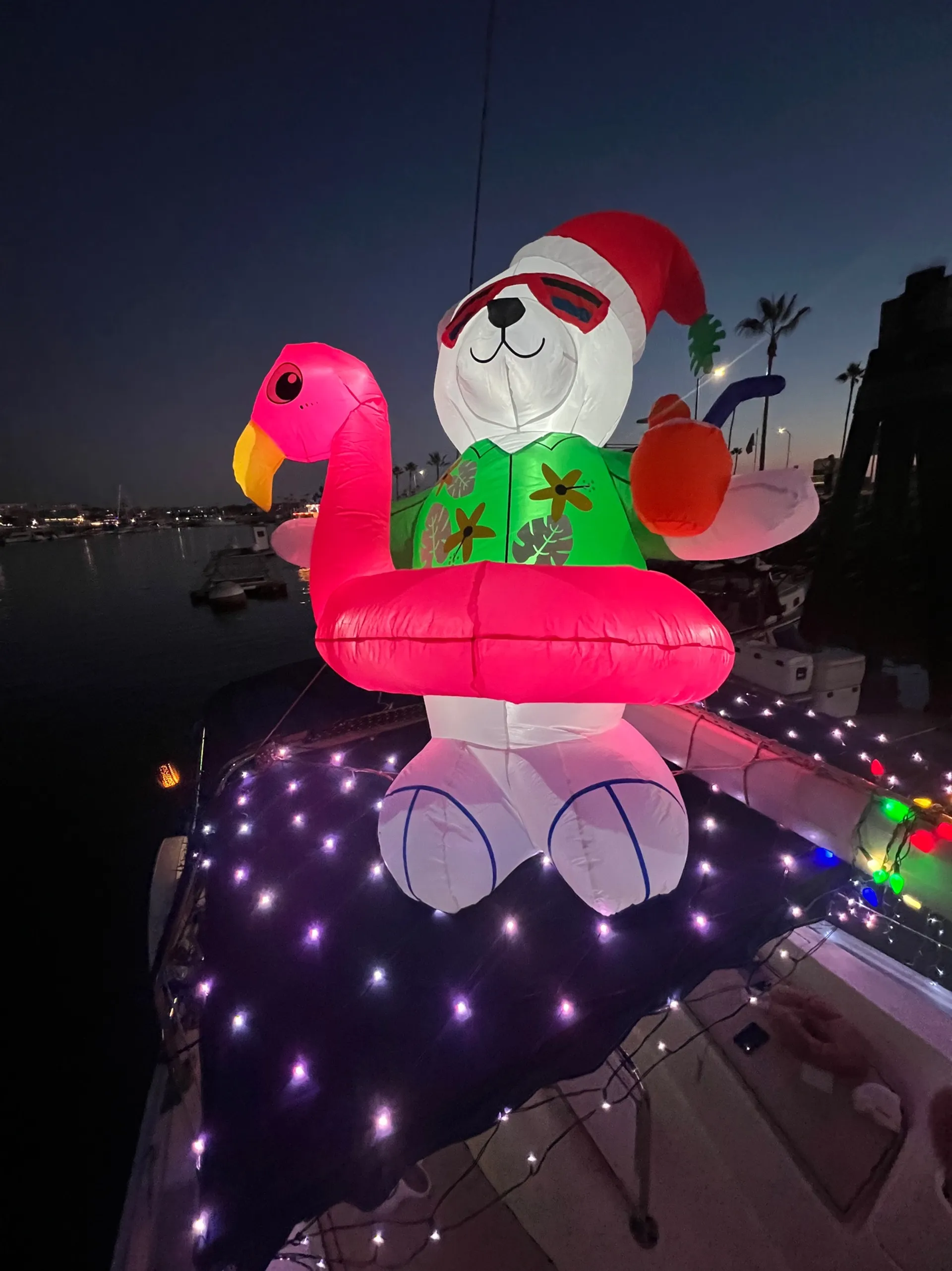 Sail in style on Deja Blue our 36 foot Hunter Yatch 🐬⛵️