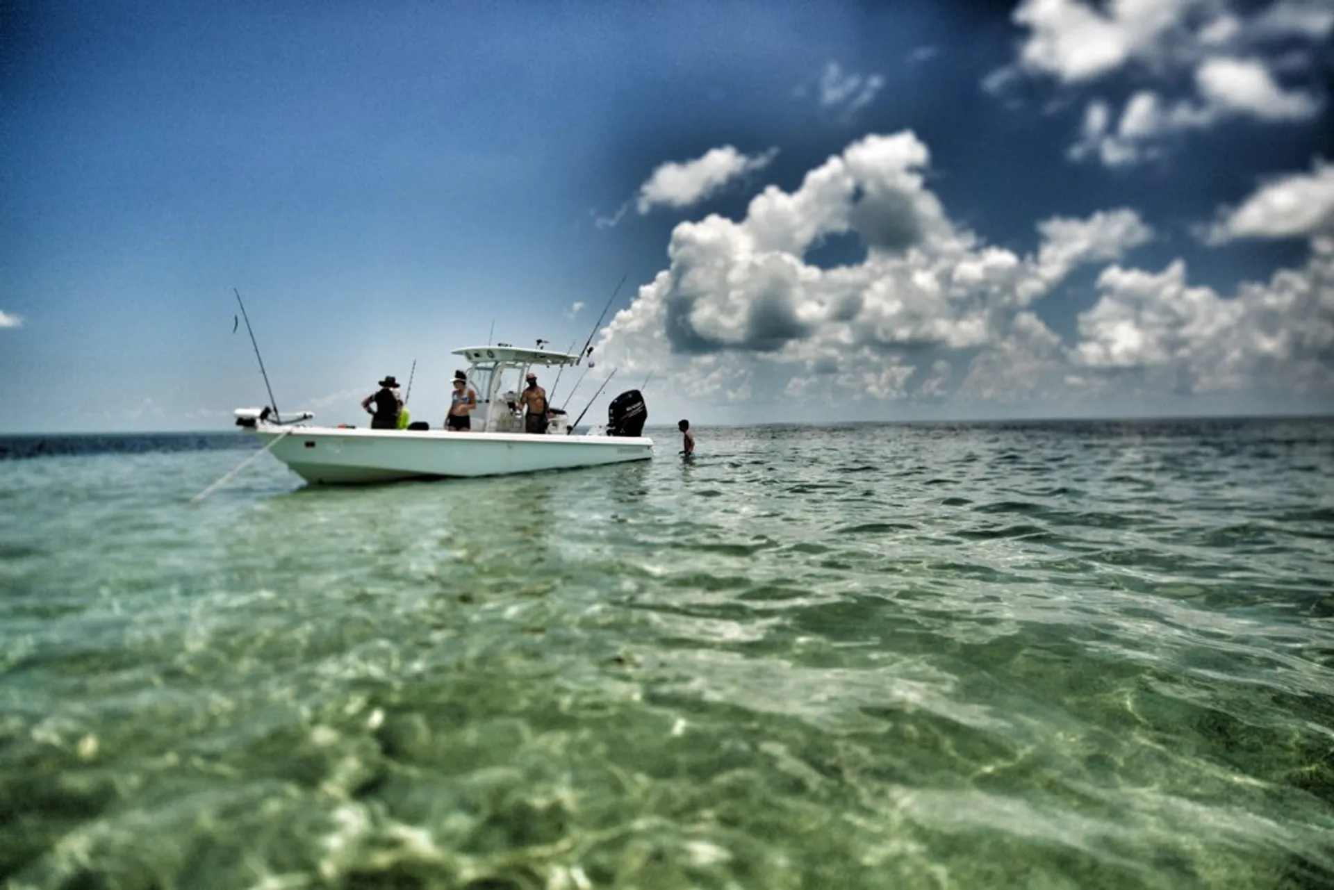 Reef/Wreck/Backcountry/Sandbar