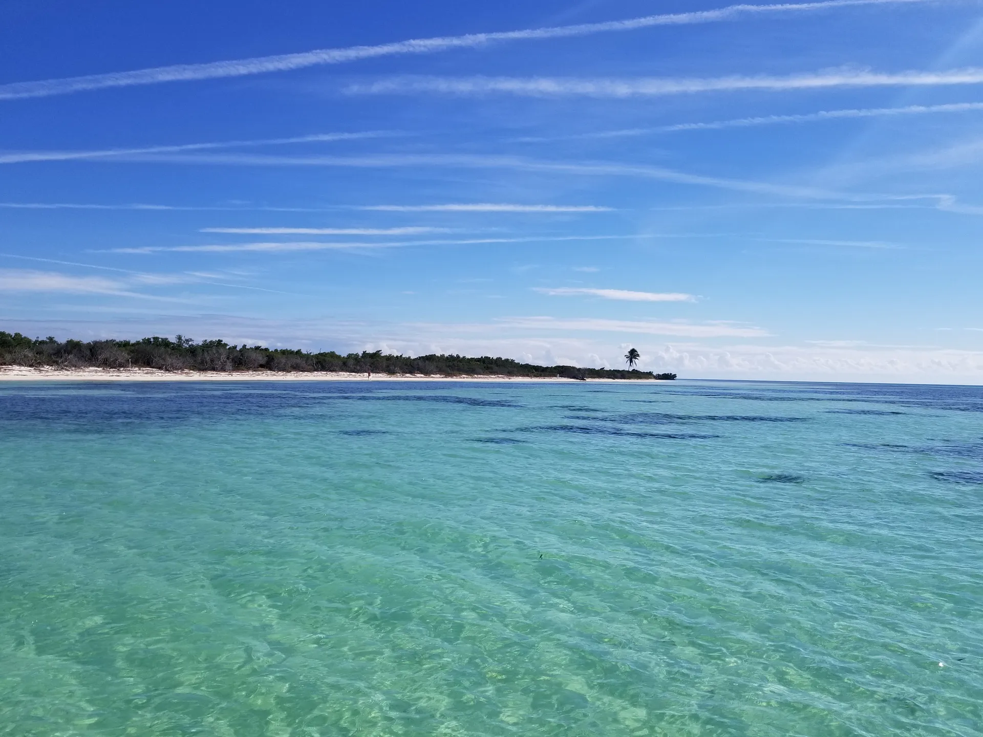 Reef/Wreck/Backcountry/Sandbar