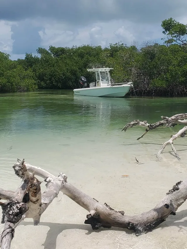 Rent a Everglades center console in Key West, FL near me