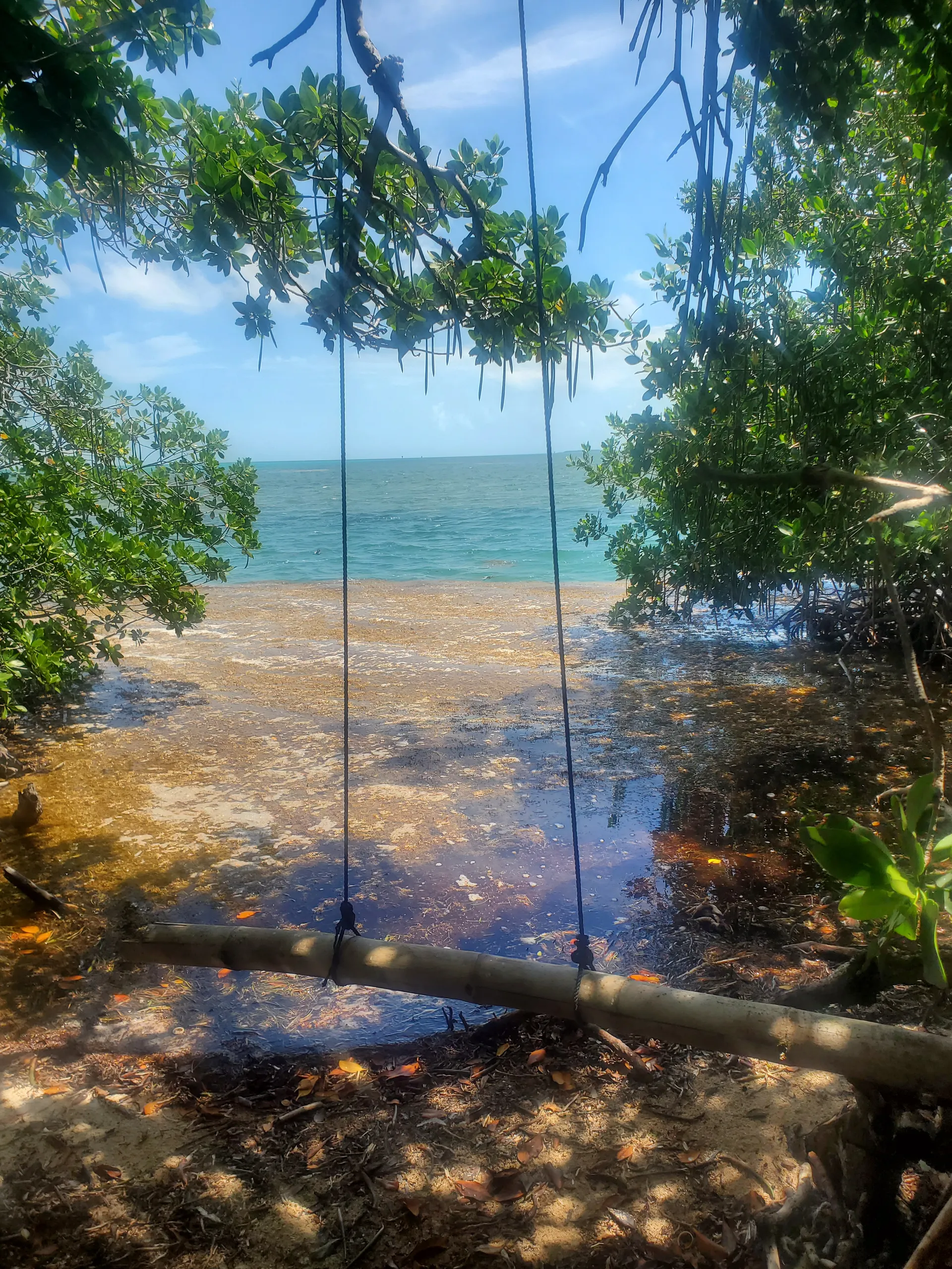 Reef/Wreck/Backcountry/Sandbar