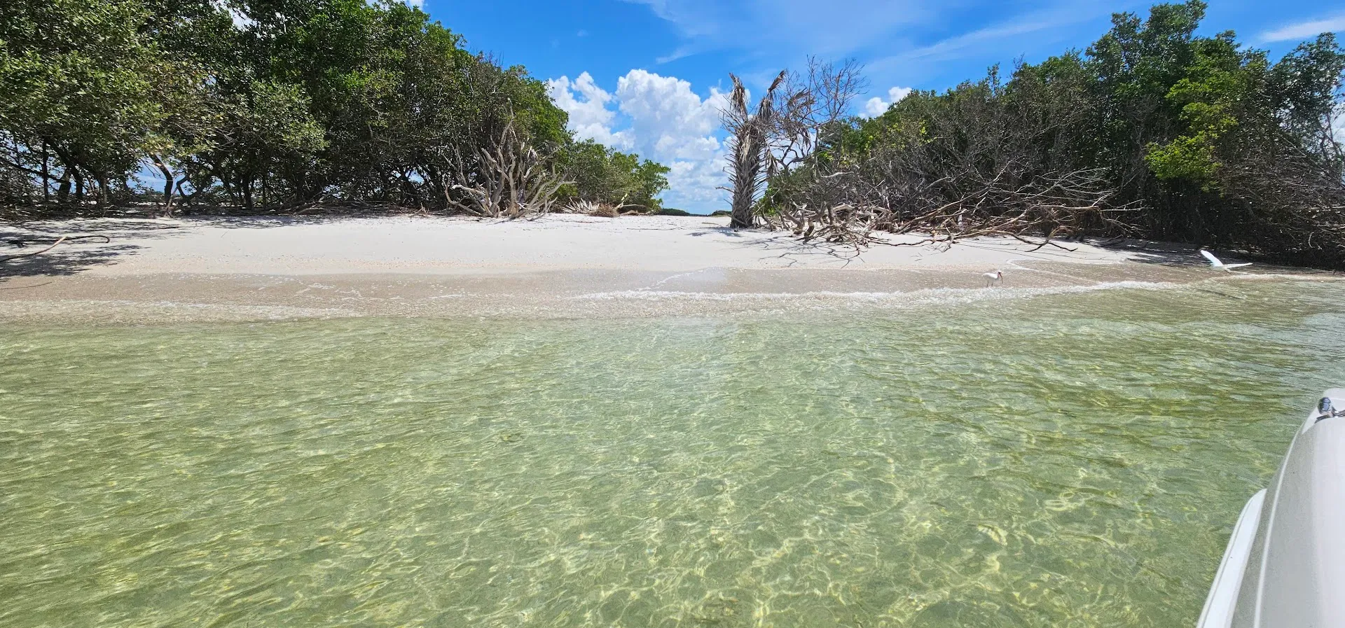 Pro-Line Boats 19 Sport in St. Pete Beach, FL — photo 10