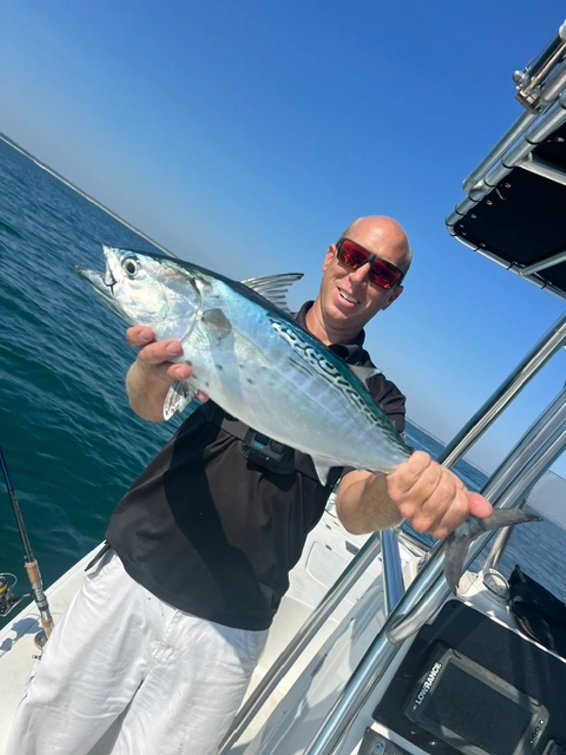 Pleasure Touring, Fishing, Dolphin sighting, etc!