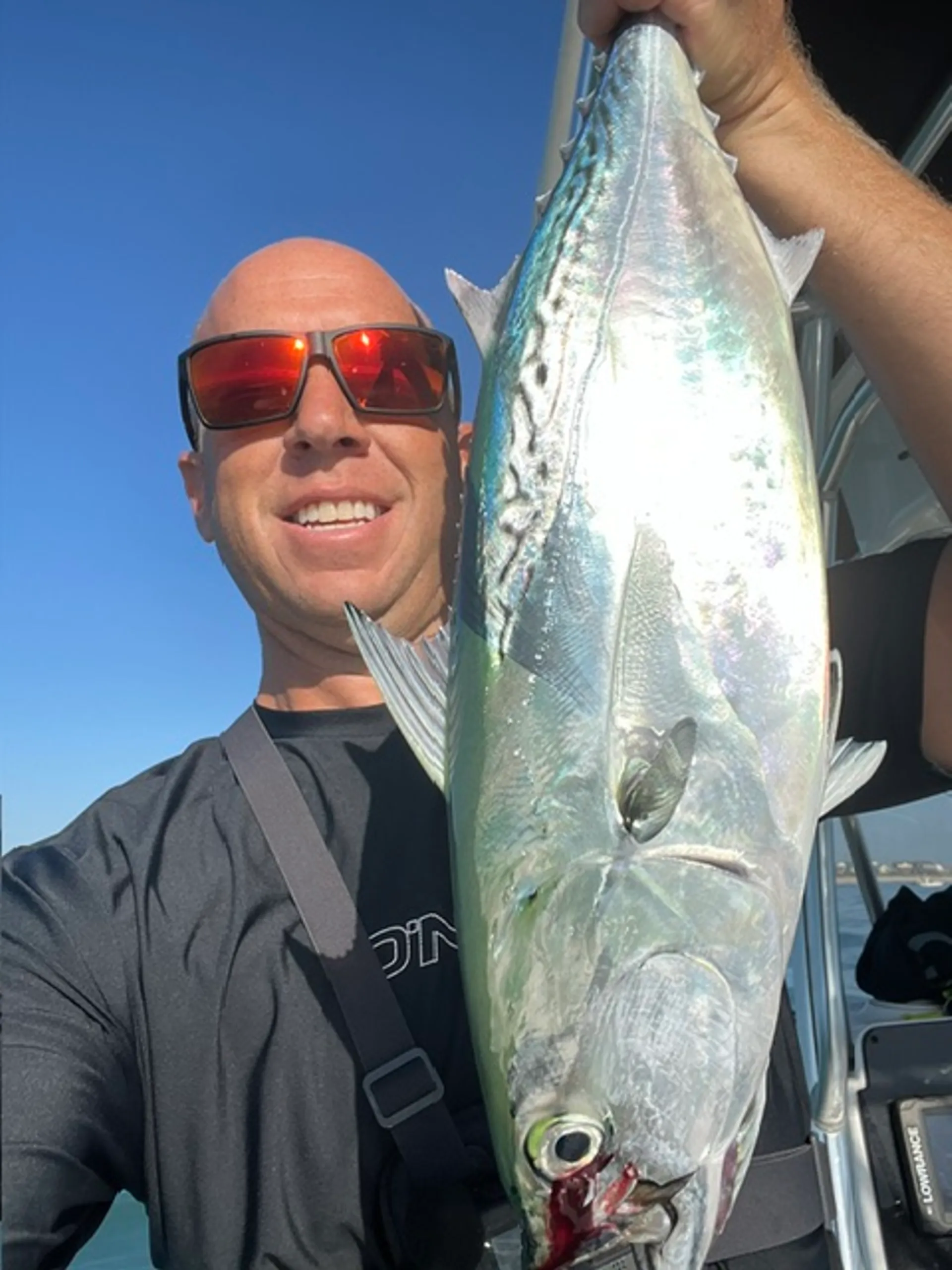 Pleasure Touring, Fishing, Dolphin sighting, etc!