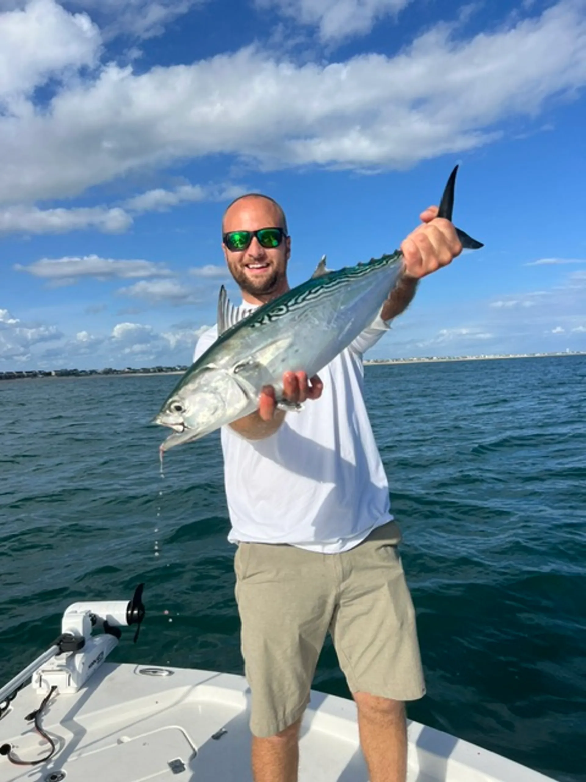 Pleasure Touring, Fishing, Dolphin sighting, etc!