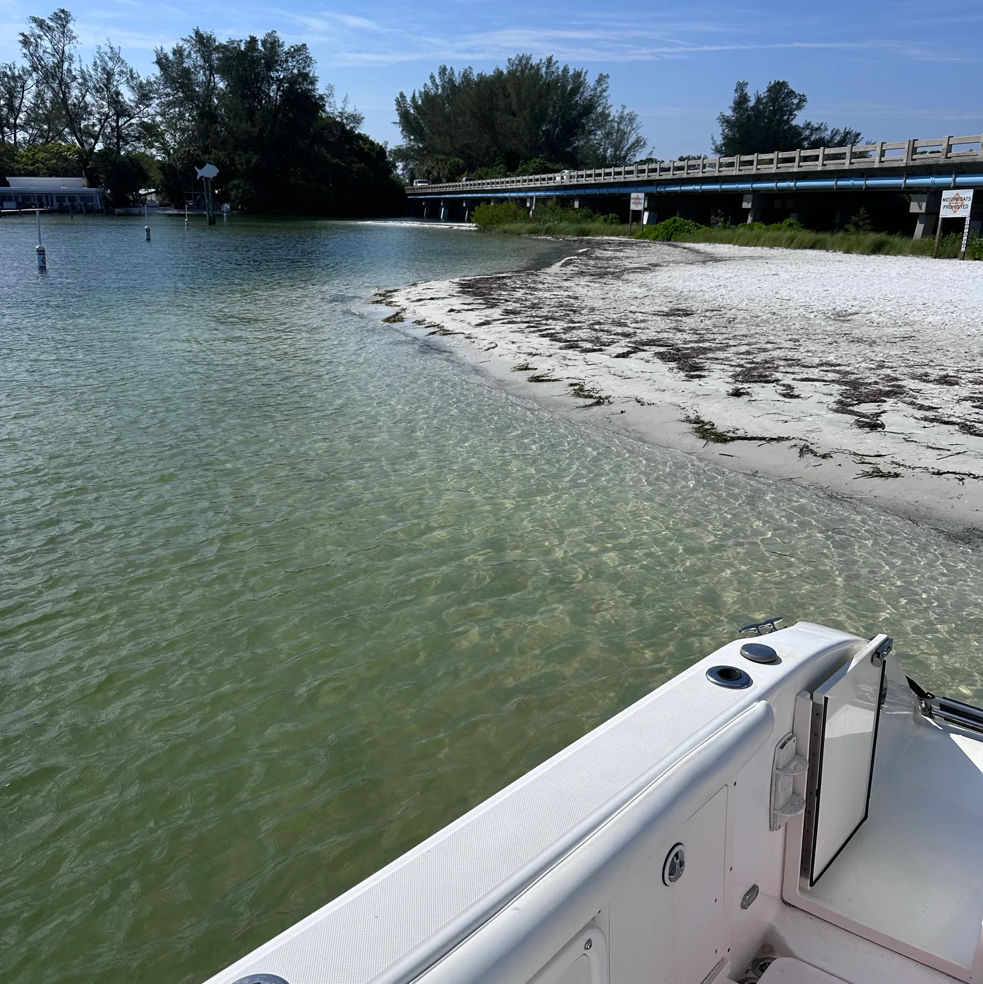 28’ Dolphin-Watching & Sightseeing Charter – Explore Sarasota