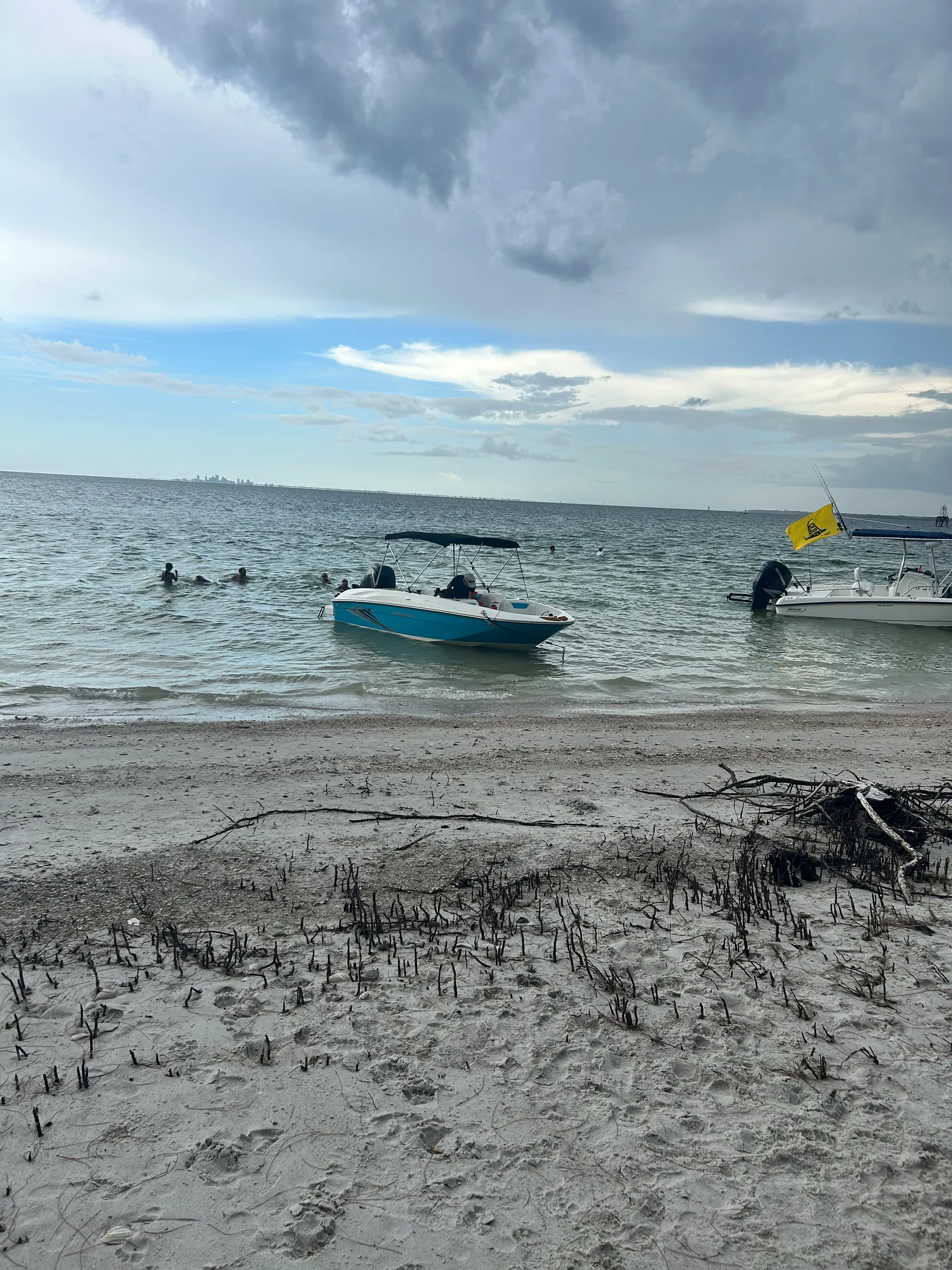 BAYLINER ELEMENT E18 in Riverview, FL — photo 7