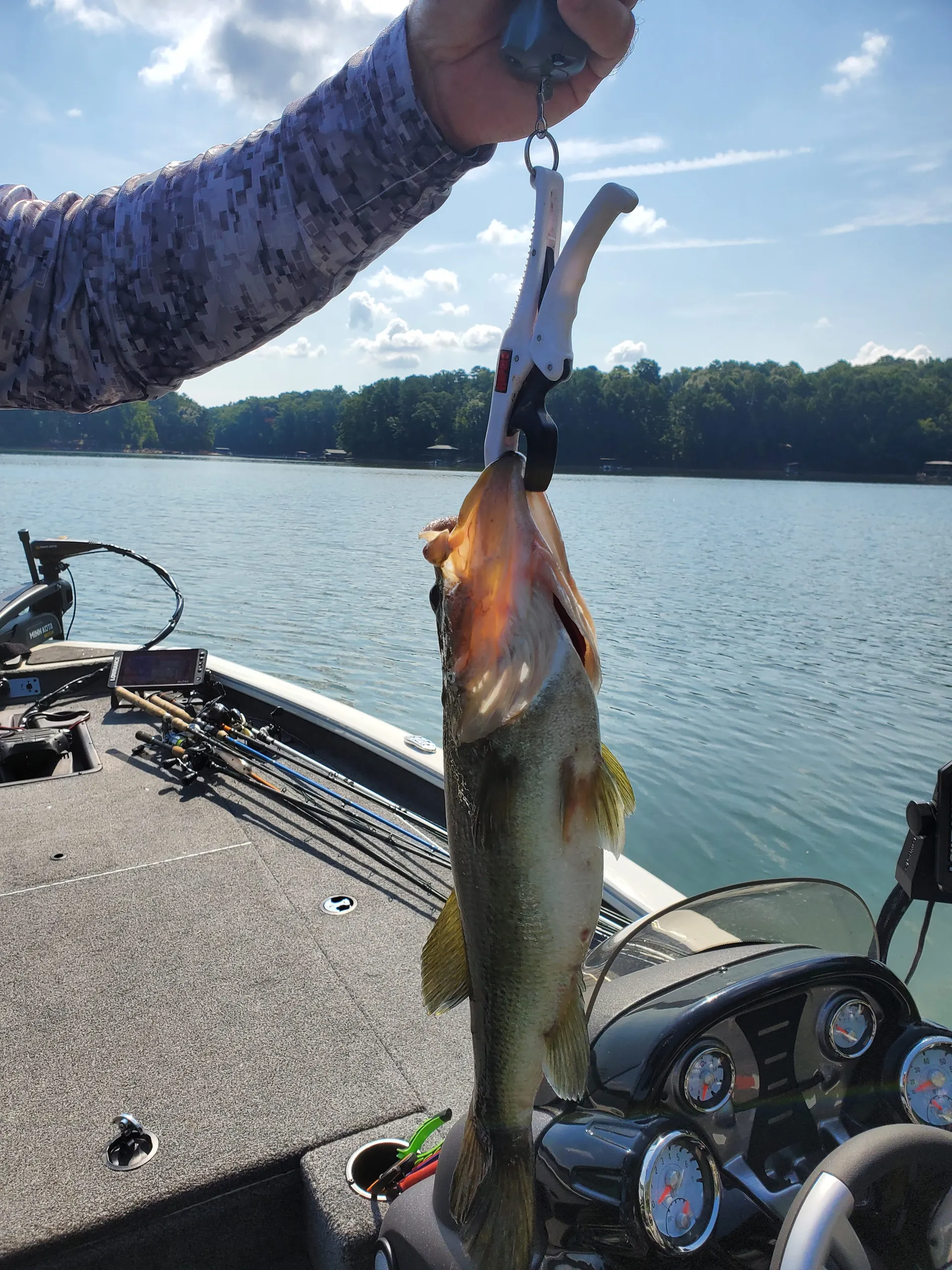 TRACKER BY TRACKER MARINE PRO TEAM 190 TX W/115ELPT PRO XS W/TRLR in Powder Springs, GA — photo 9