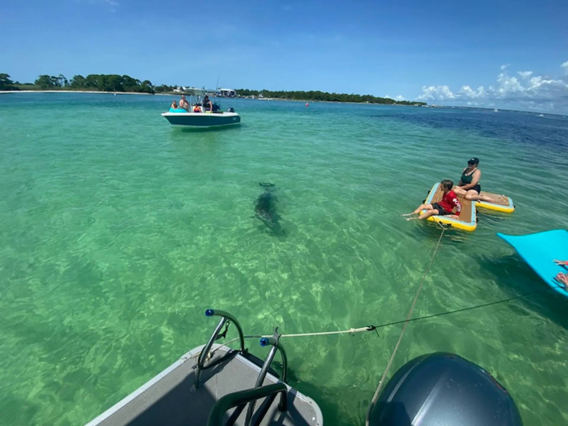 Crab Island Party!! Paddleboard,Lily Pad, Inflatables