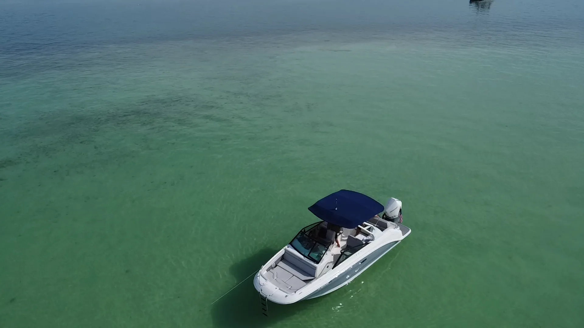 Private Luxury Sandbar Charter | Sea Ray 250 | Salty SandBars Key West