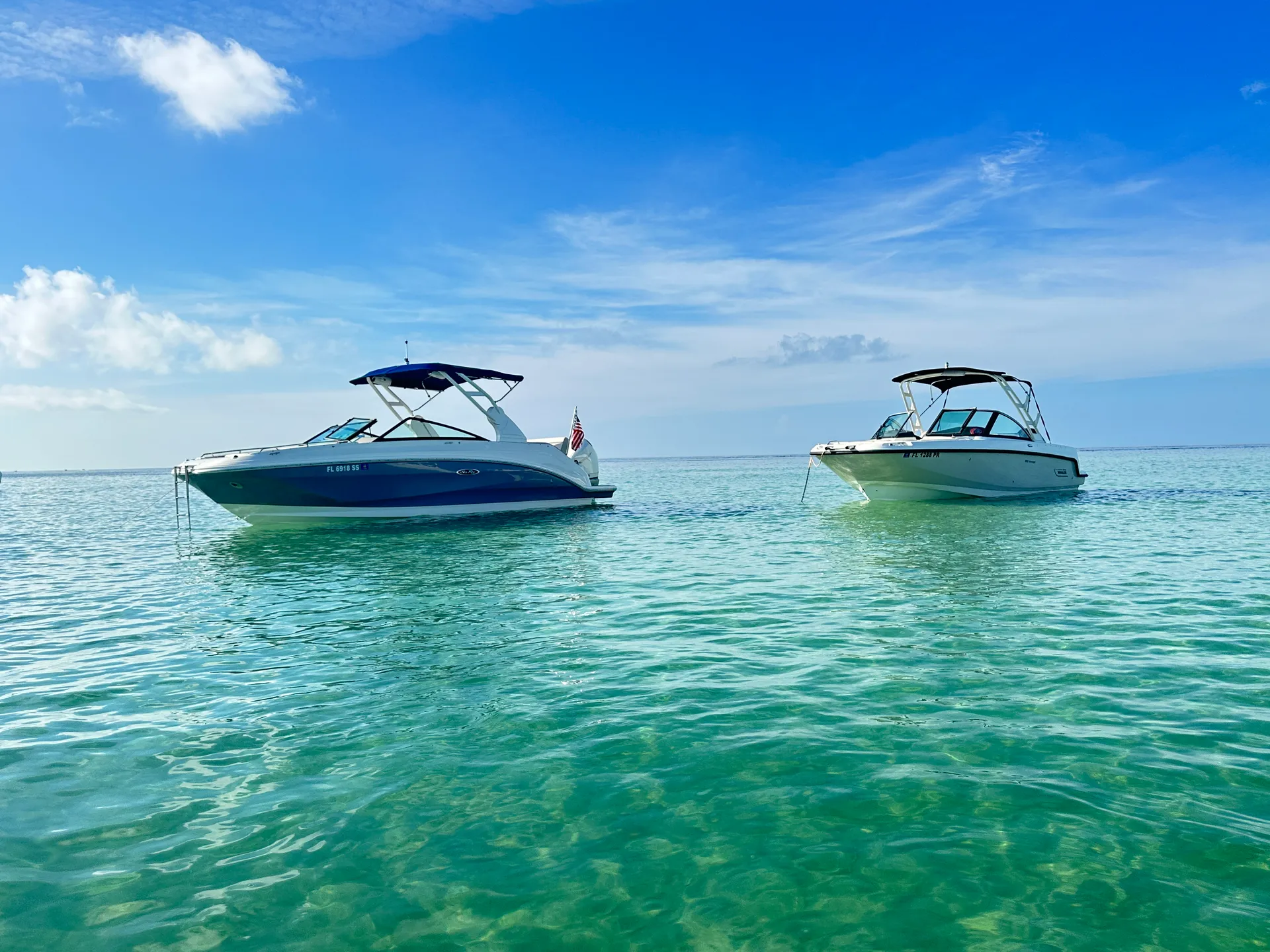 Private Luxury Sandbar Charter | Sea Ray 250 | Salty SandBars Key West