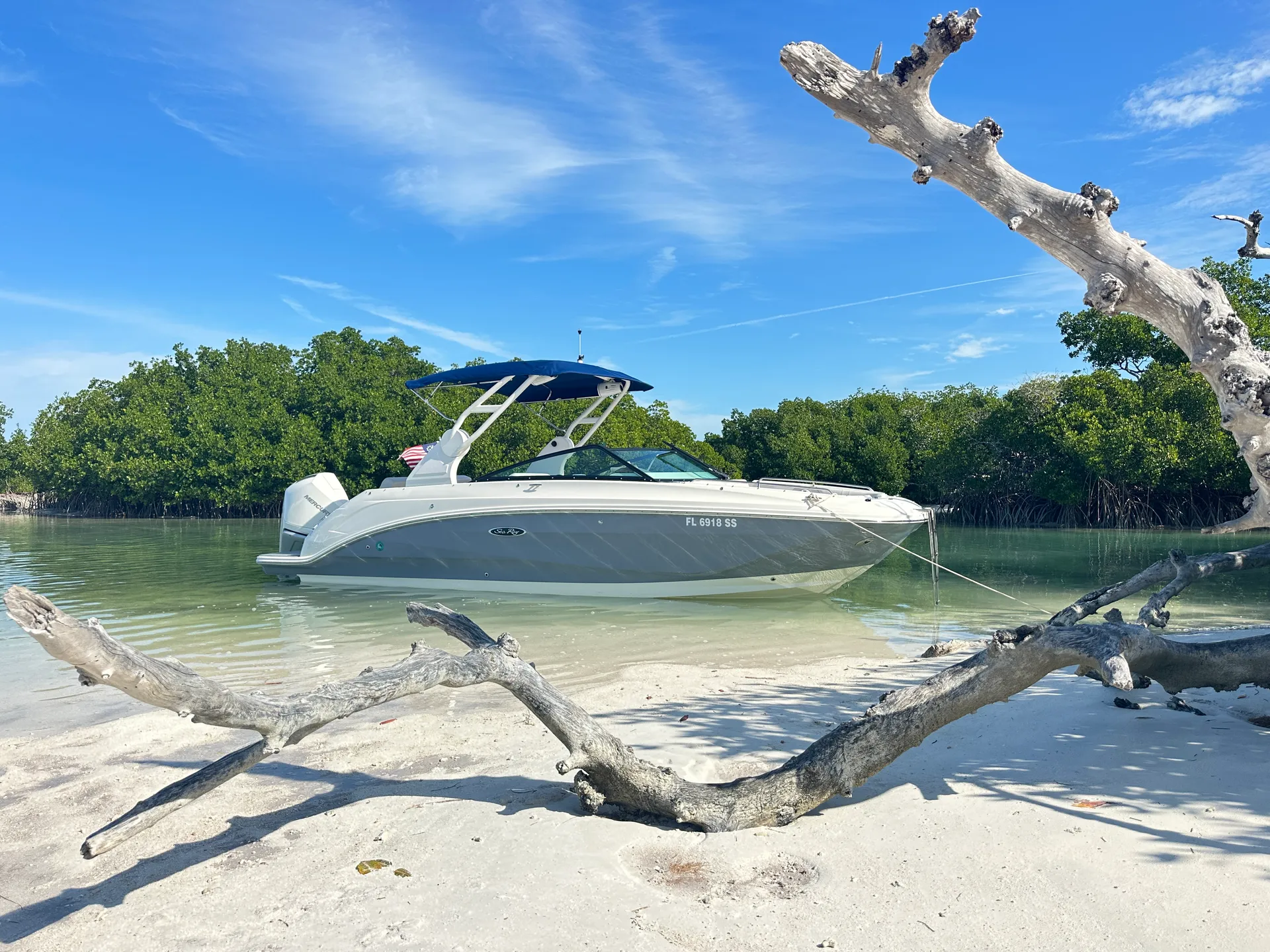 Private Luxury Sandbar Charter | Sea Ray 250 | Salty SandBars Key West