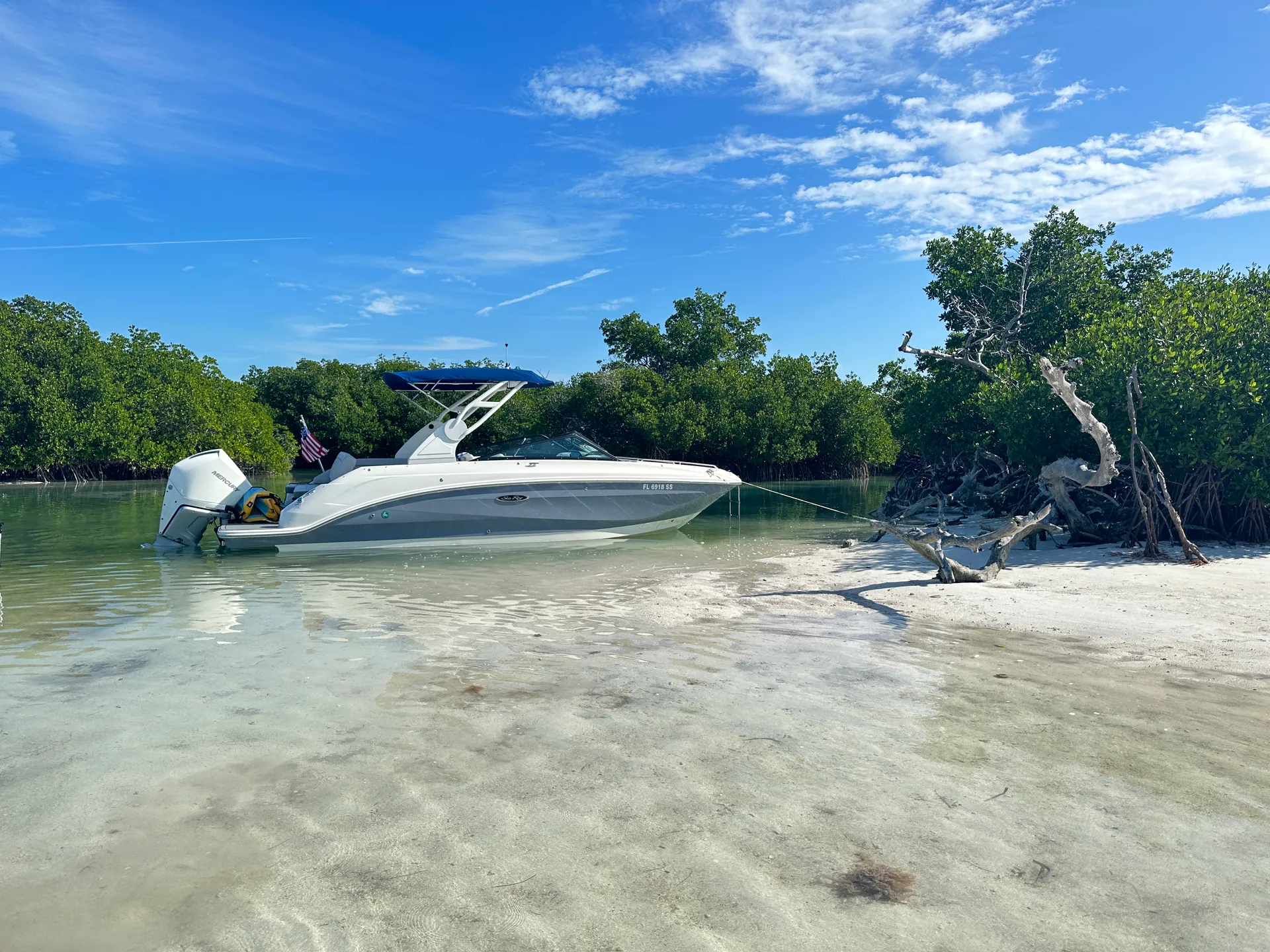 Private Luxury Sandbar Charter | Sea Ray 250 | Salty SandBars Key West