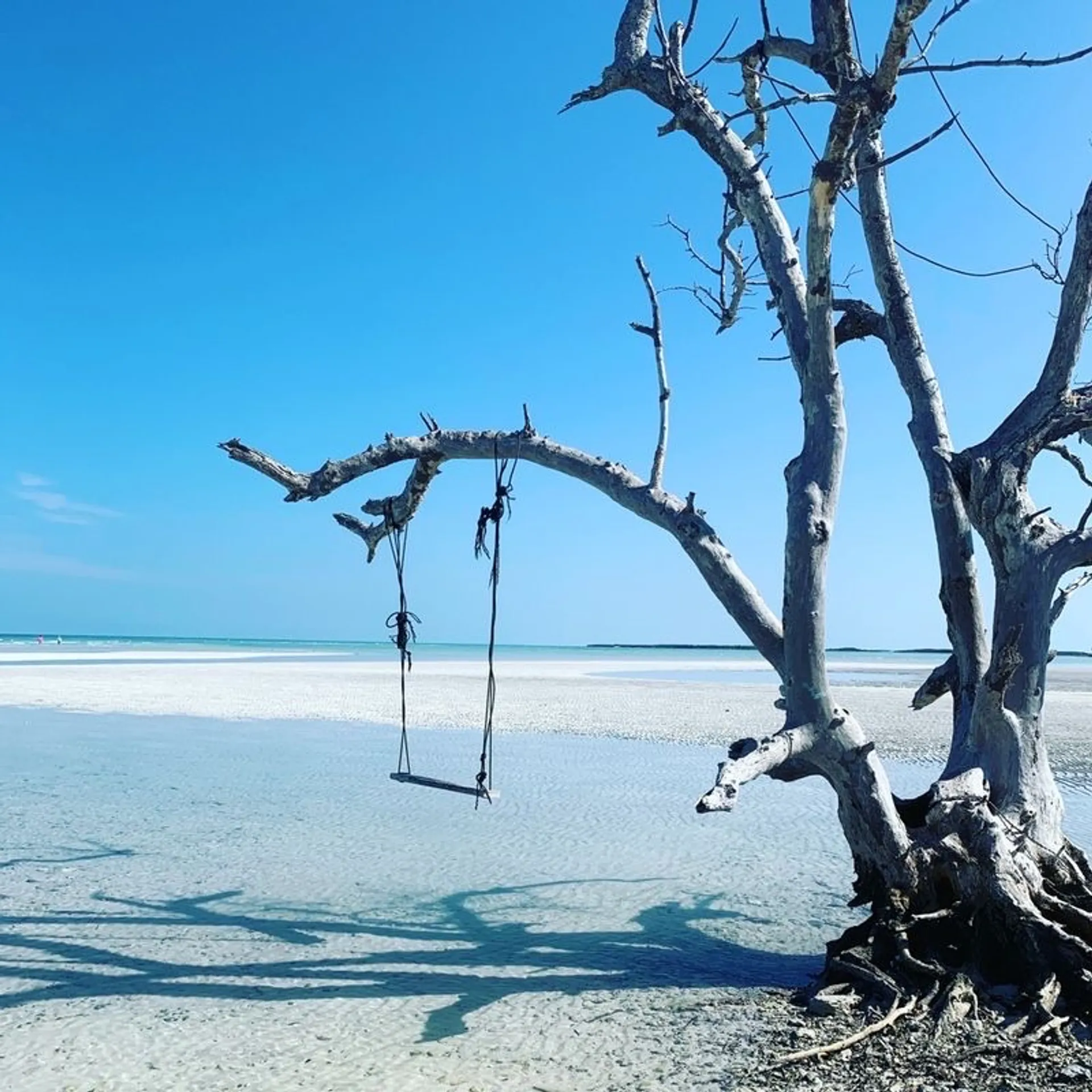 SUV of the Seas - Luxury Adventure Boat - Islamorada