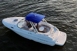 Comfort Cruiser + Water Sports at Lake Conroe