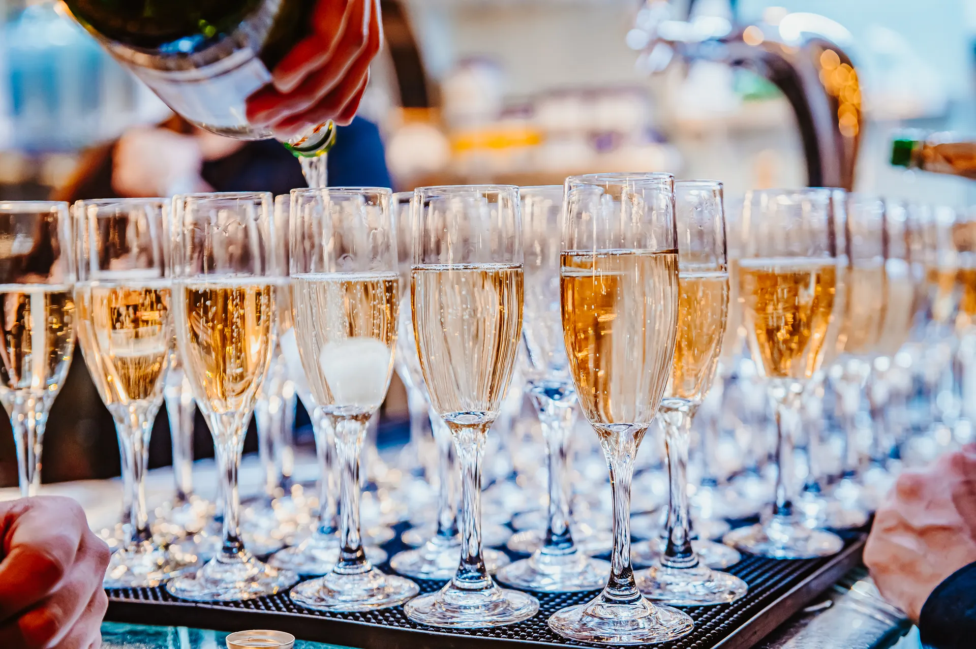 NYC: Gourmet Dinner Cruise with Live Music