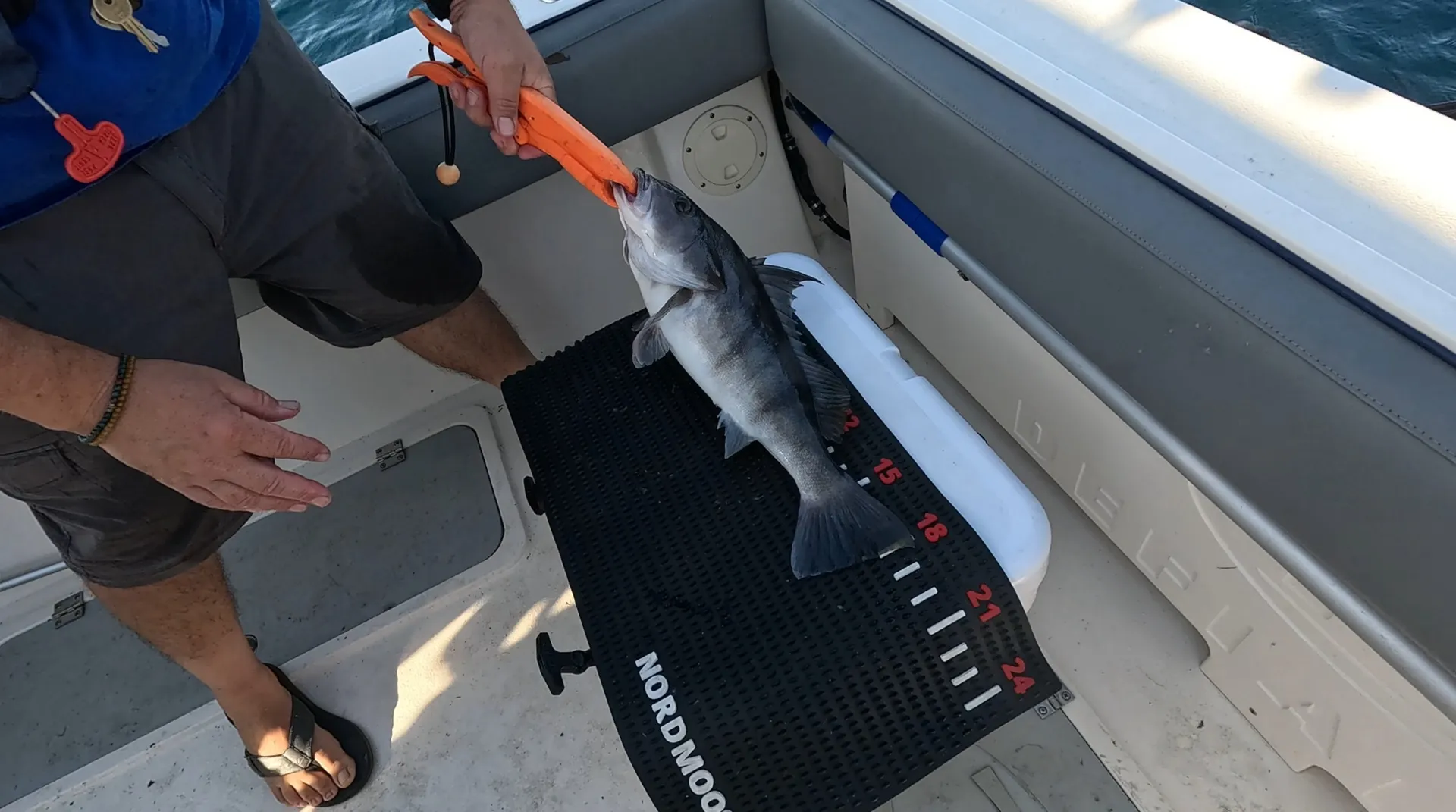 2022 Defiance Admiral, Friendly Fishing Adventures with "El Pescador"