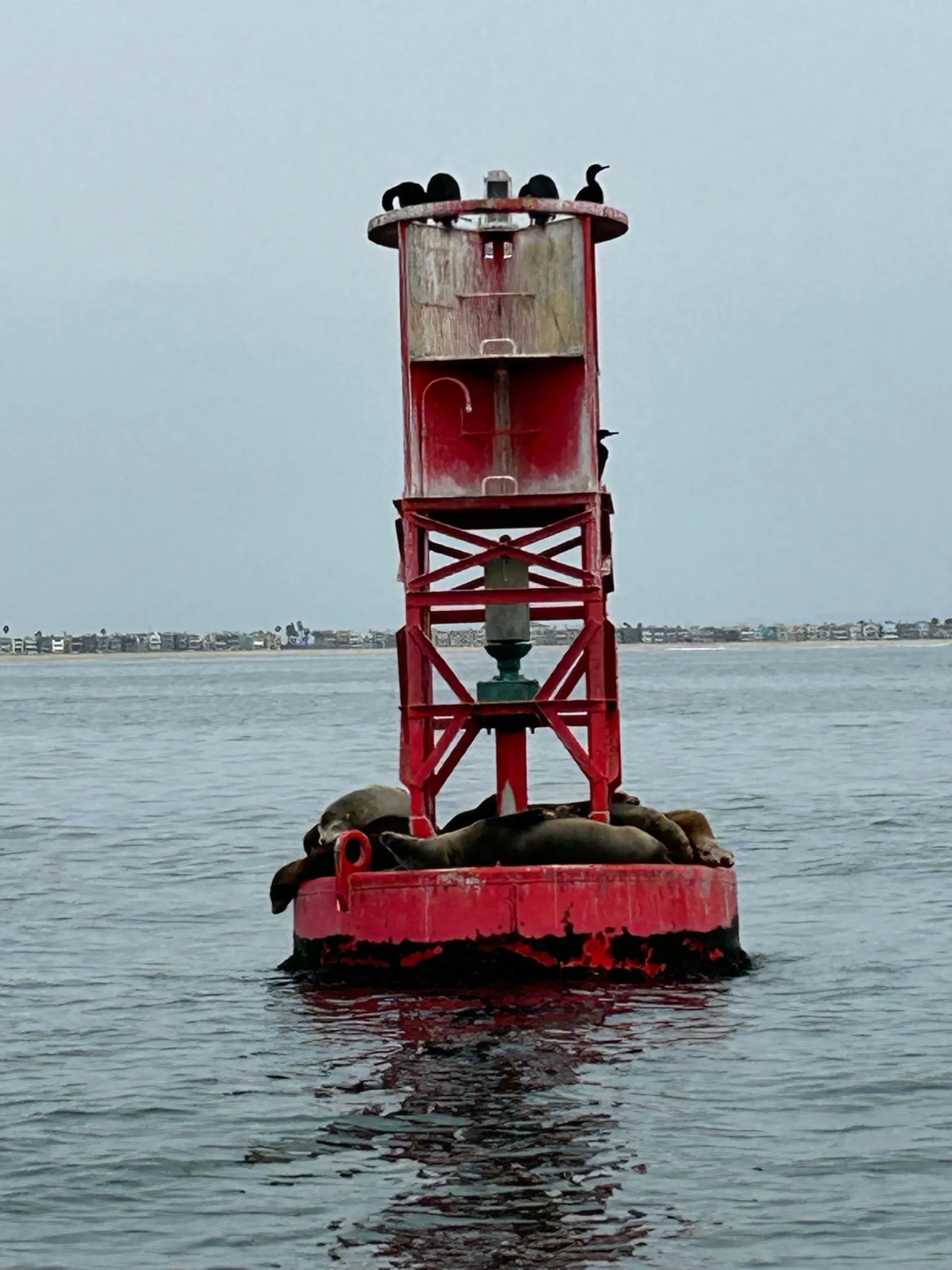 2022 Defiance Admiral, Friendly Fishing Adventures with "El Pescador"