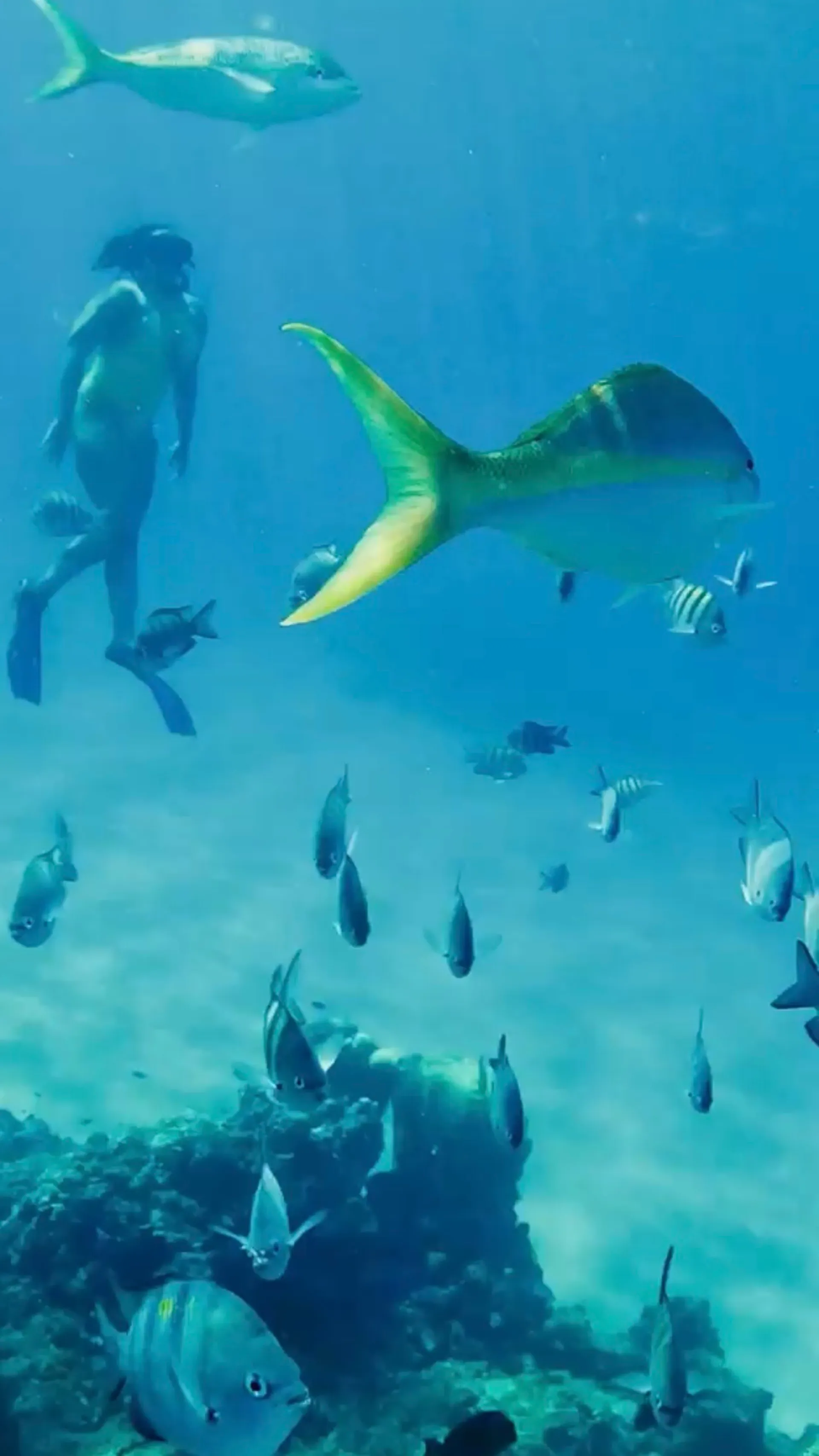 48' Luxury Yacht - Harbor Cruise - Catalina Island