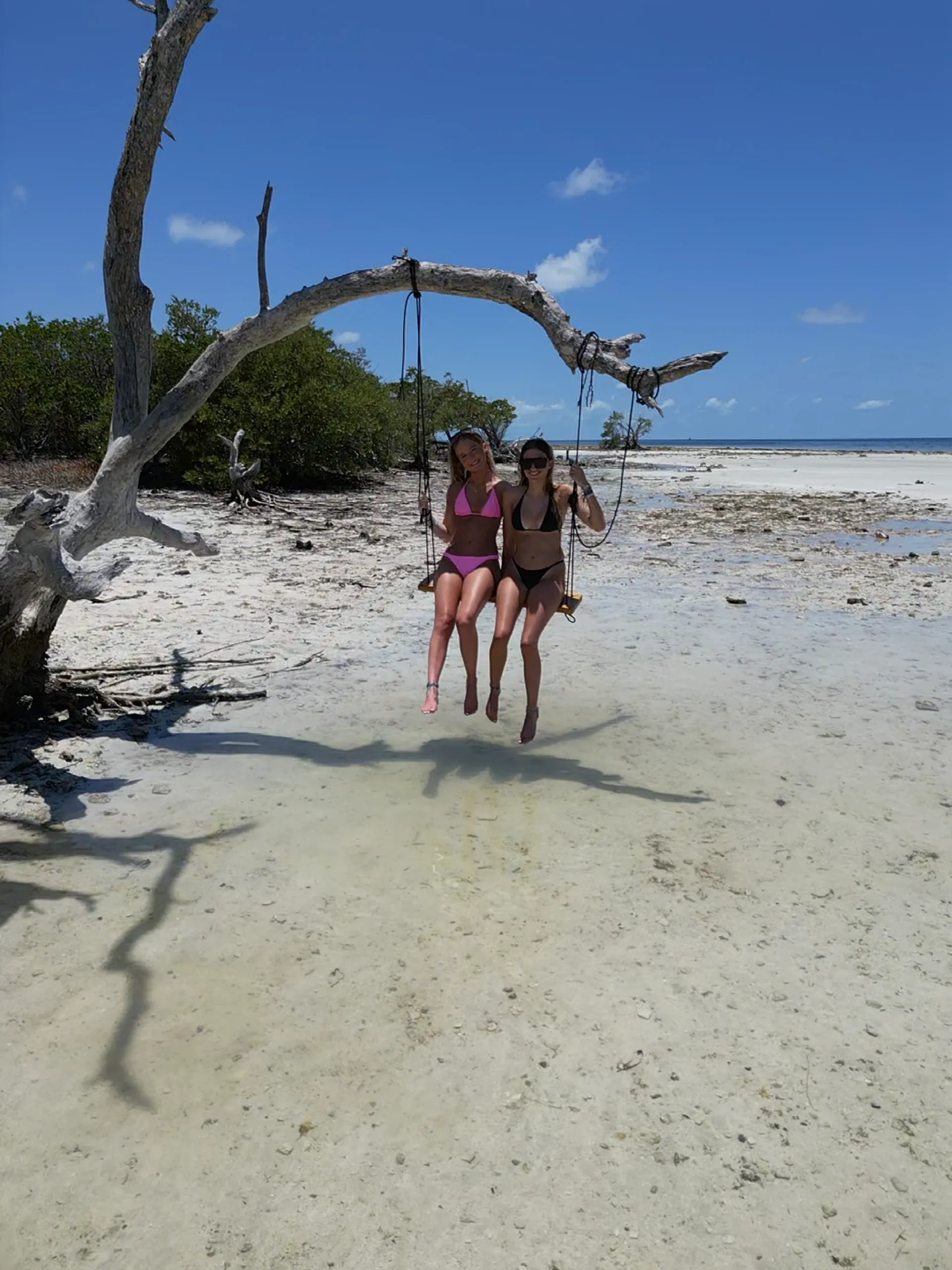 Private Luxury Sandbar Charter | Sea Ray 250 | Salty SandBars Key West