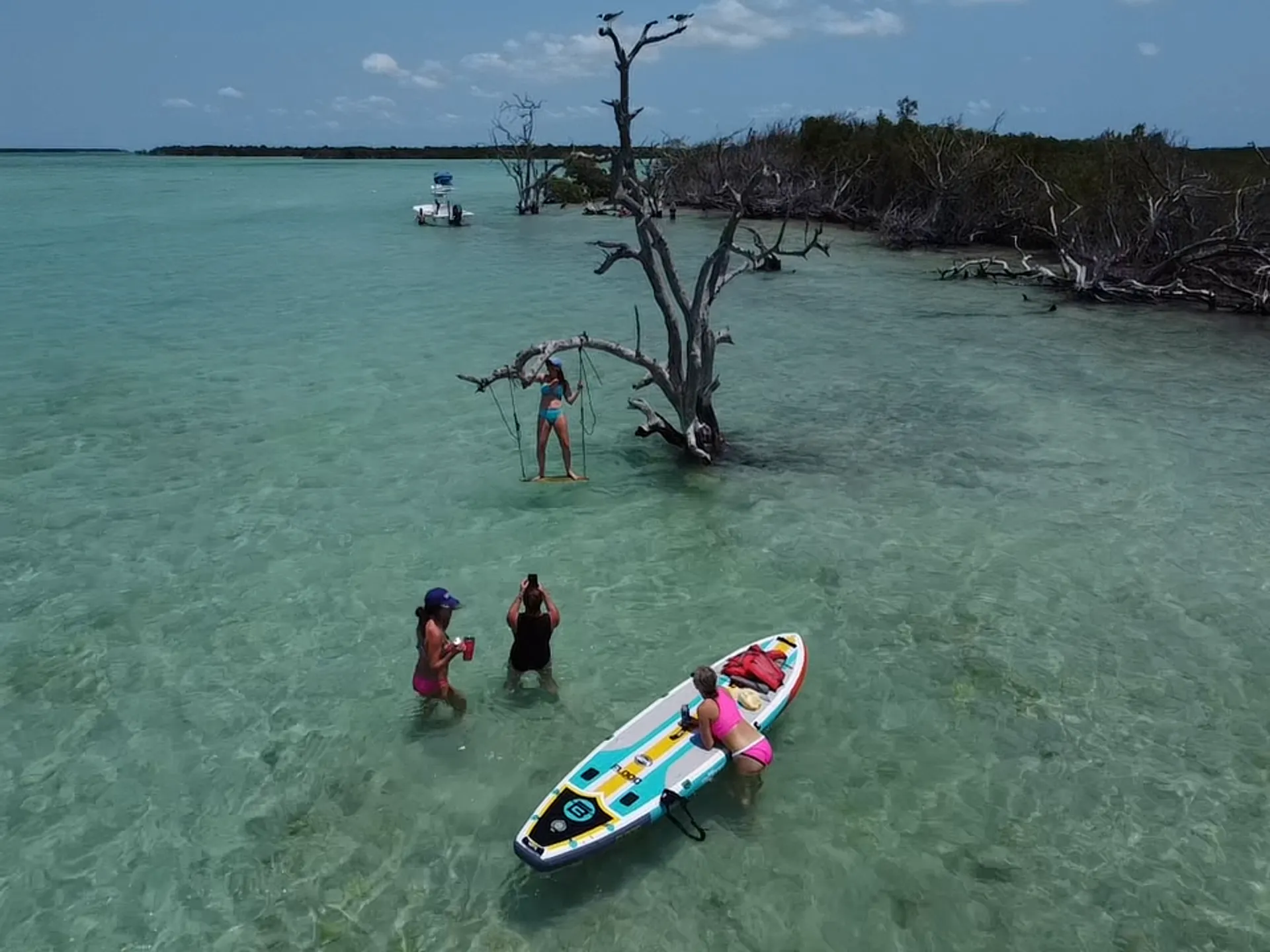 Salty Sandbars Key West Captain / fuel included 