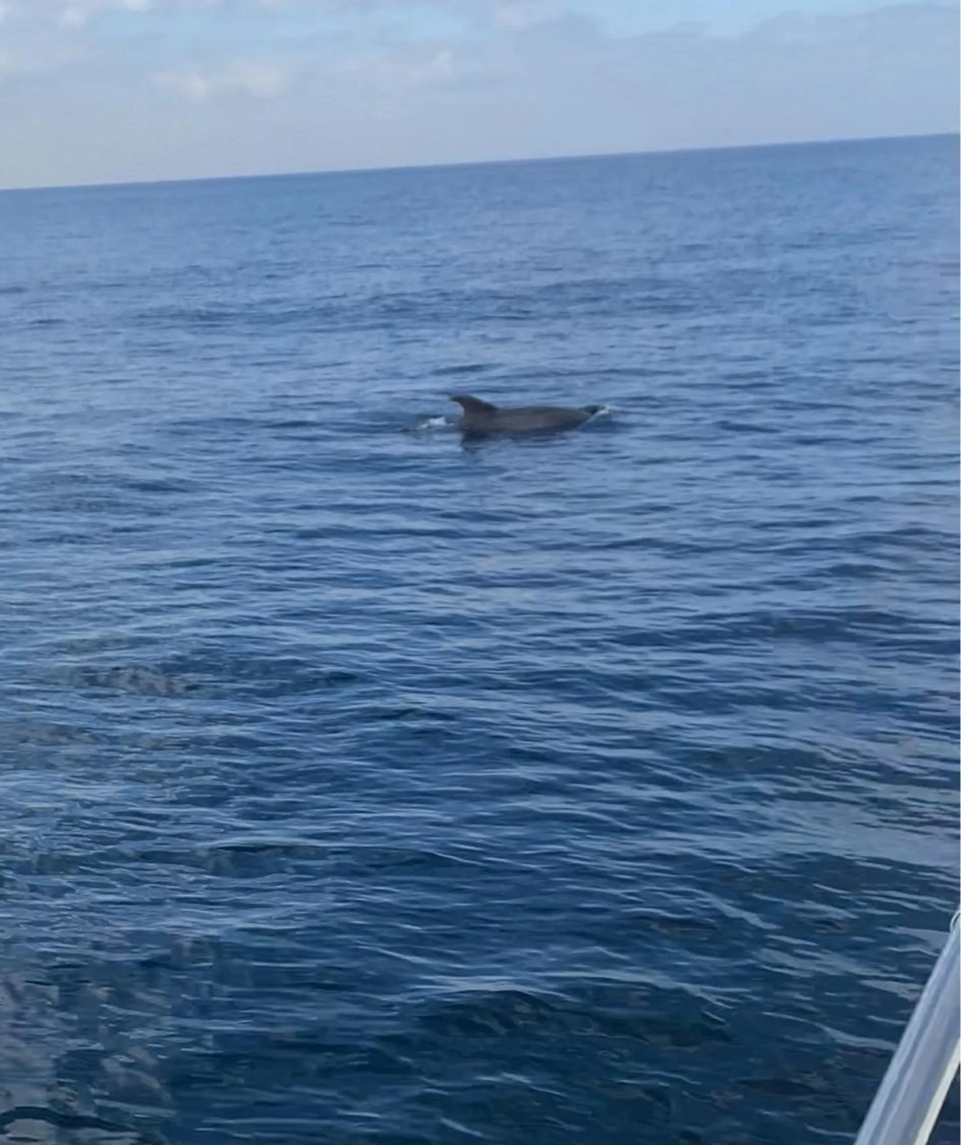 Good Times in a yacht in marina del rey