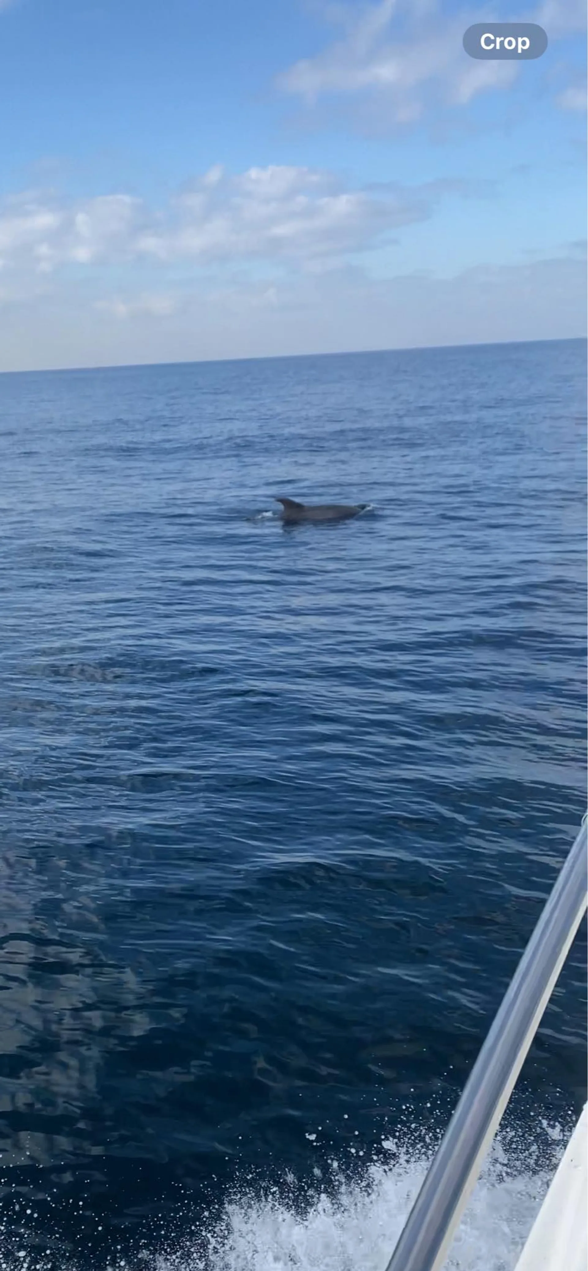 🛥️ YACHT PARTY FOR THE Good Times 🥳🎉