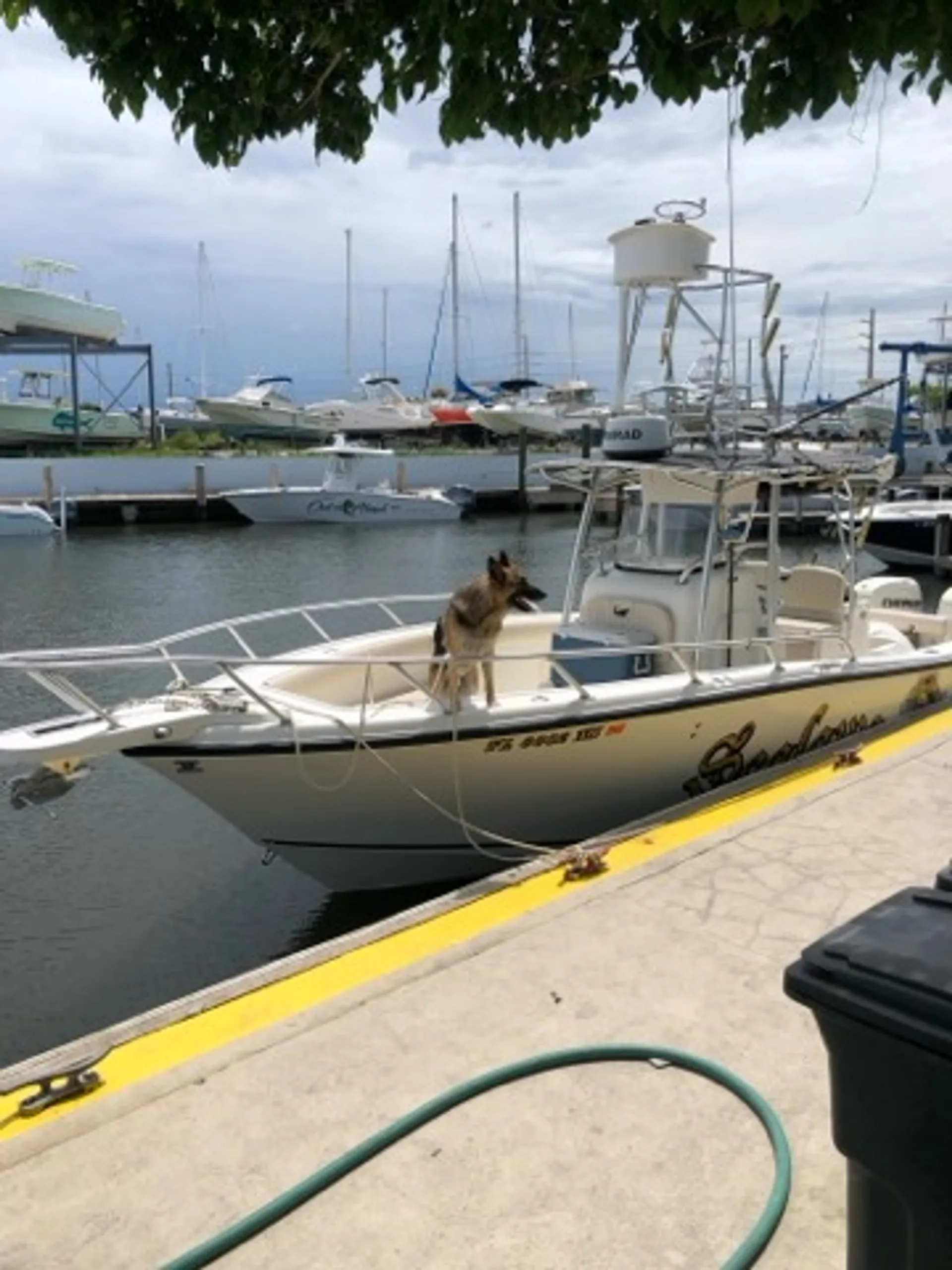 Adventure Awaits! Book the Fishing & Cruising Boat