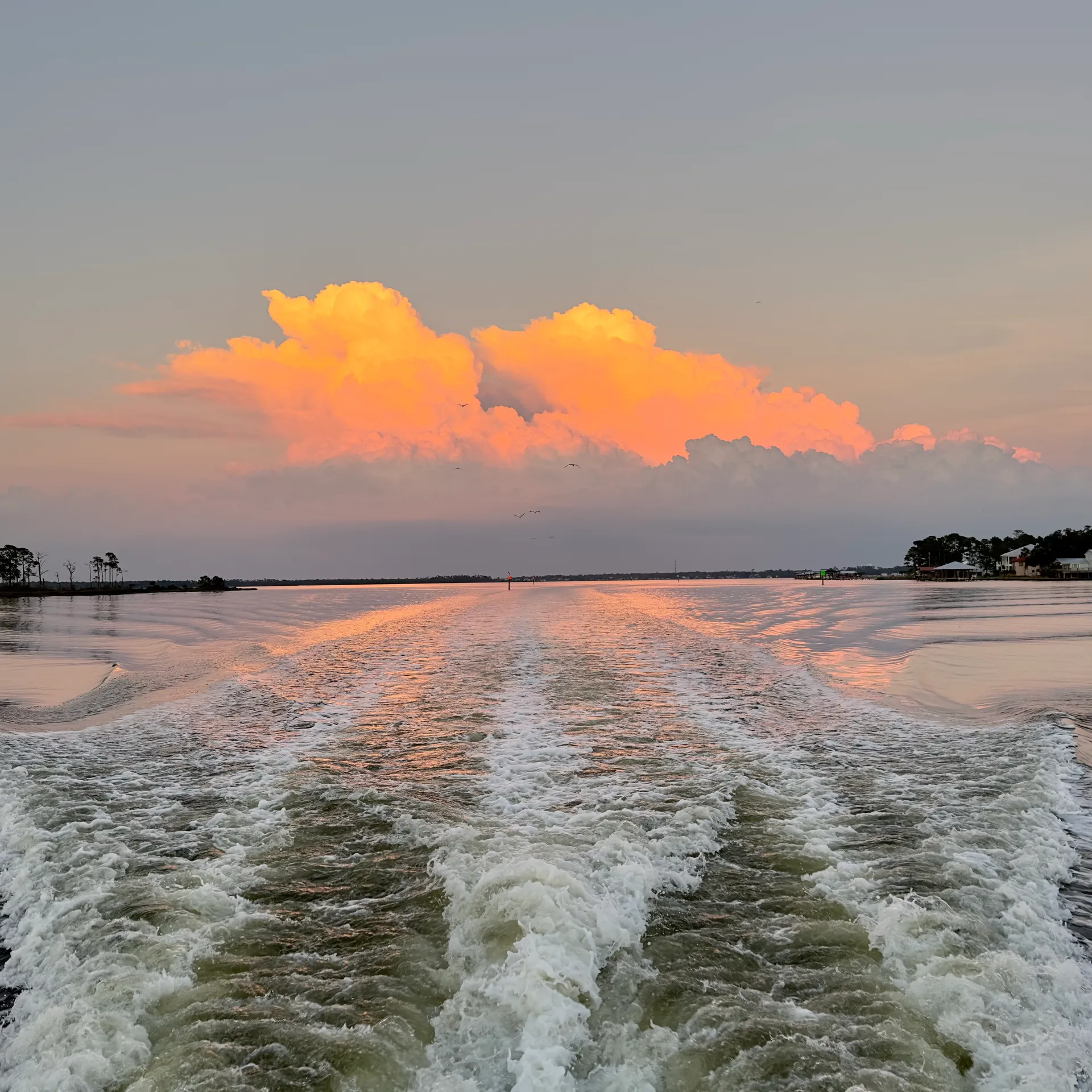 28' boat for Dolphin, sunset & Siteseeing Cruise in  Orange Beach, AL!
