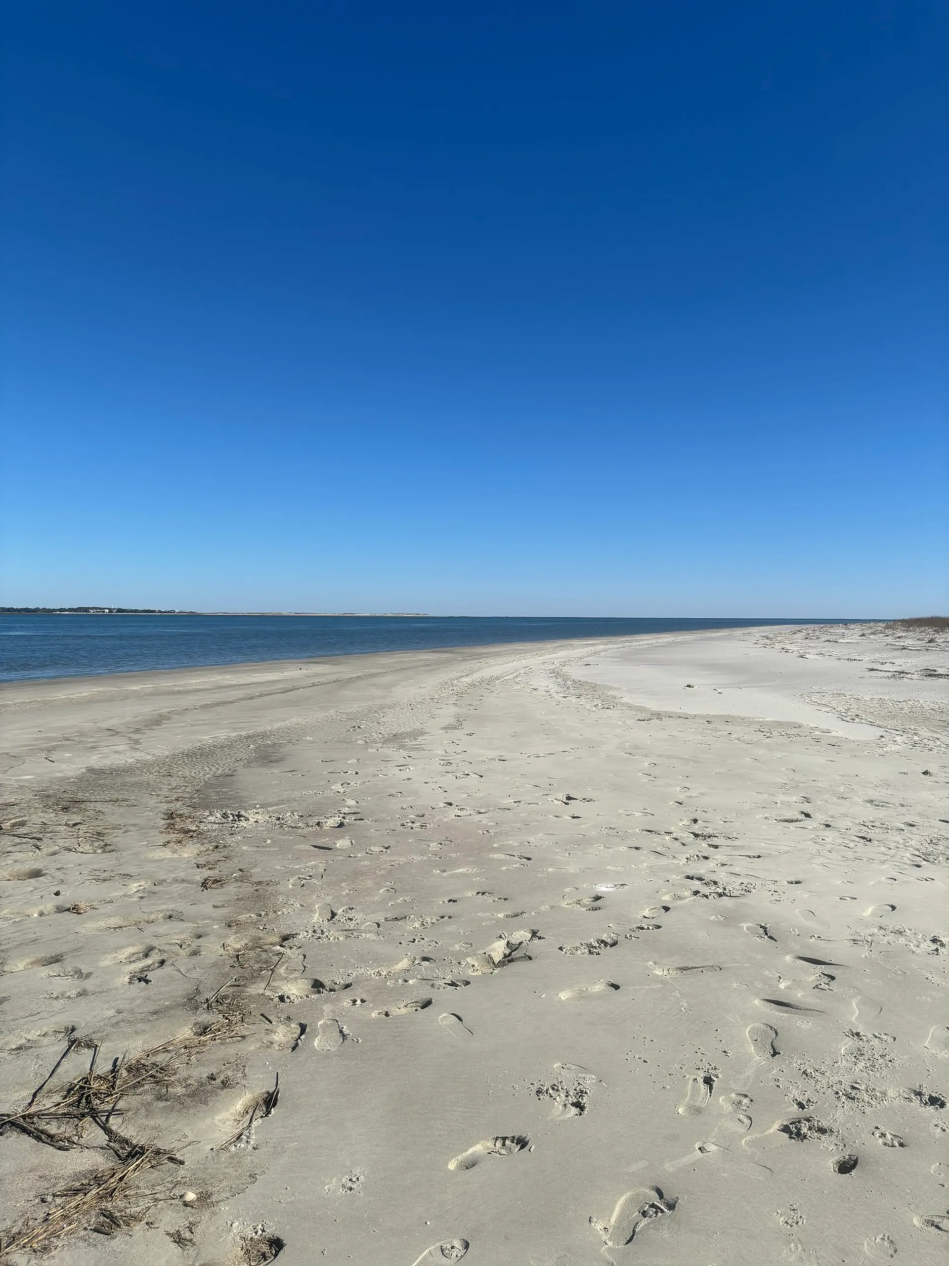 Luxury Private Charter- Cruise, Party, Bachelorette 