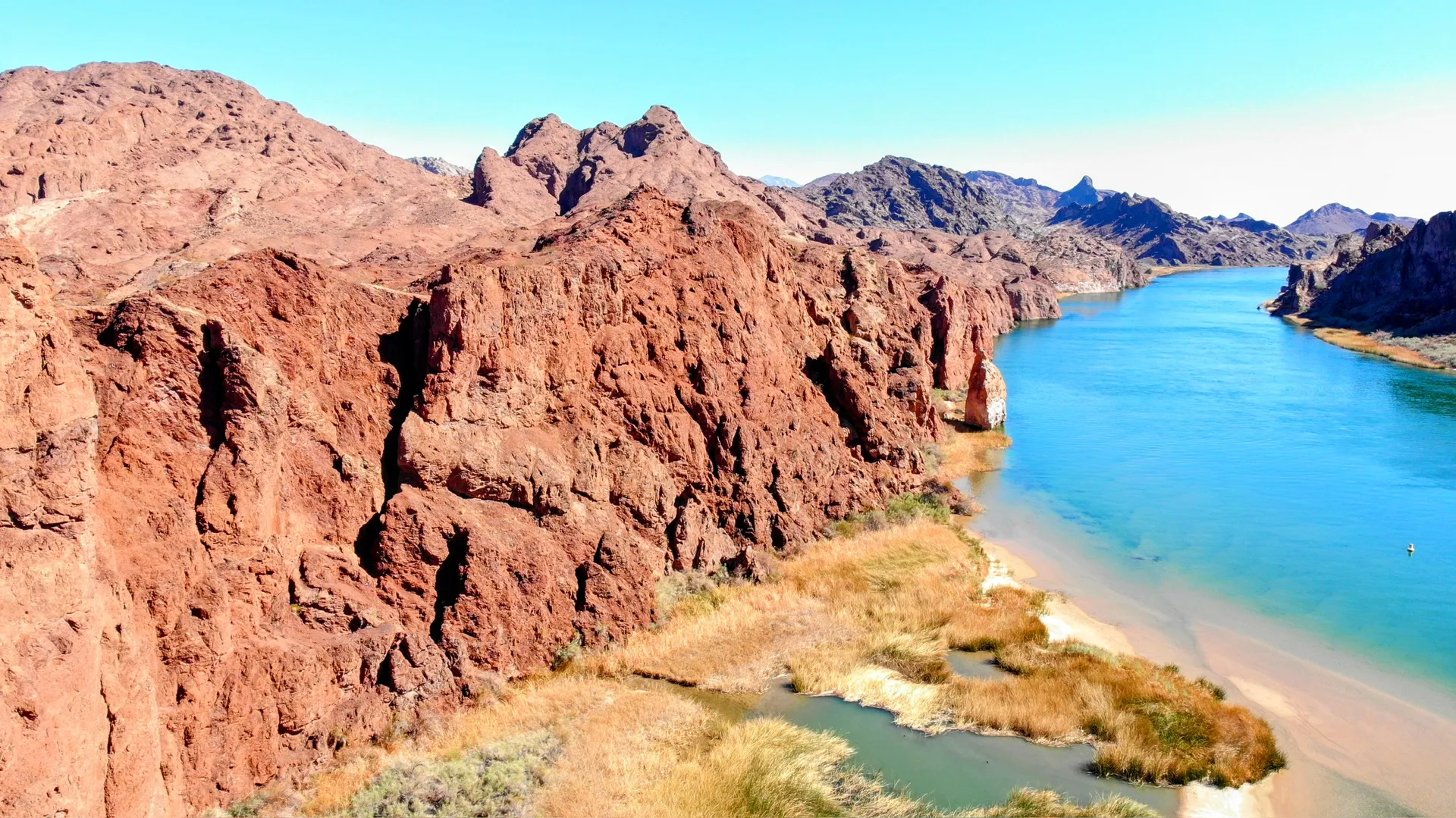 26' PARTY-TOON - CAPTAIN INCLUDED