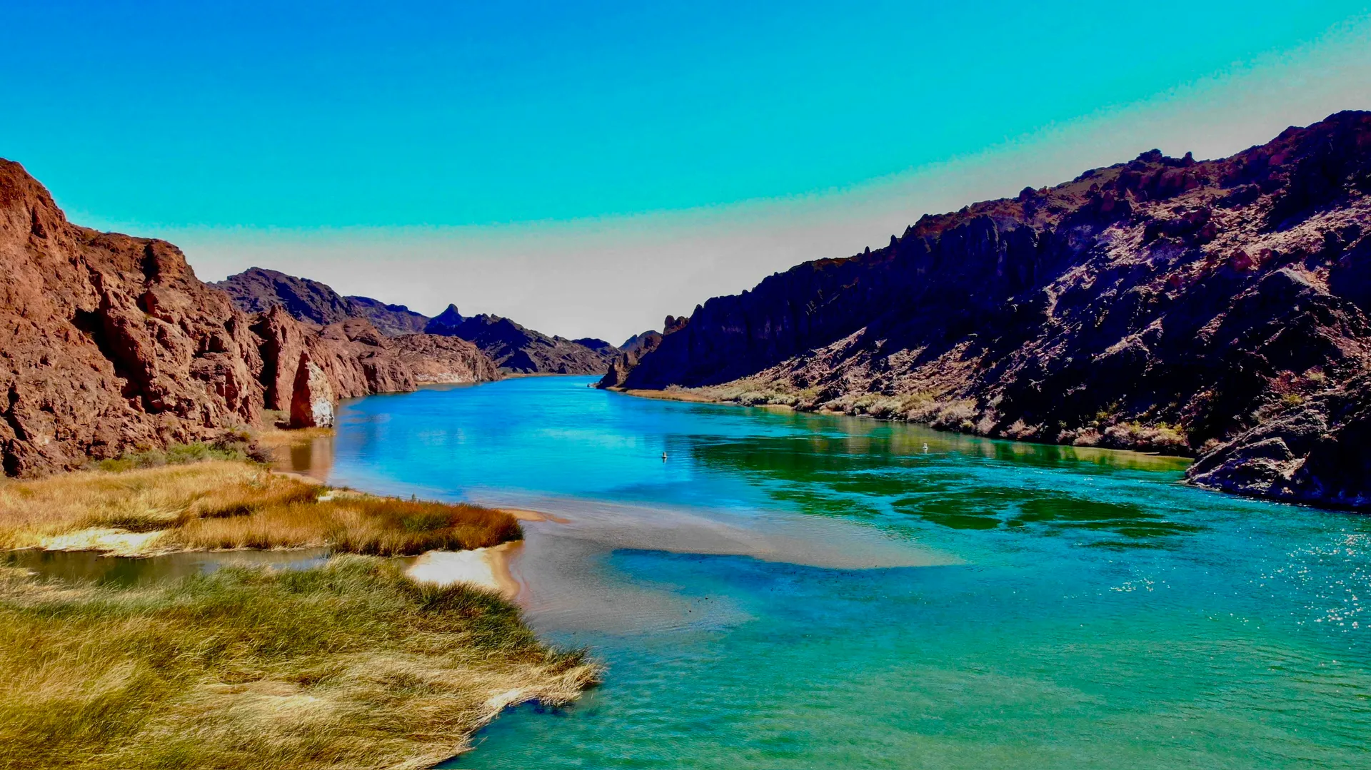 26' PARTY-TOON - CAPTAIN INCLUDED